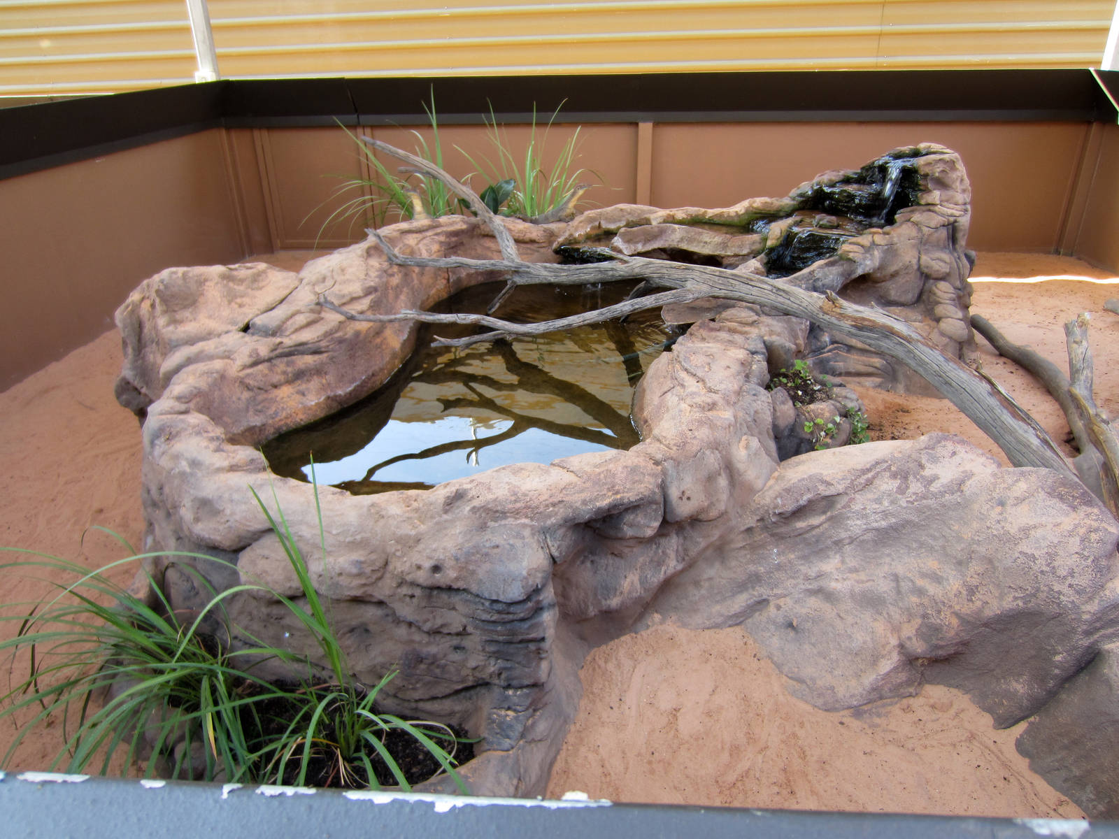 Mertens Water Monitor and its enclosure