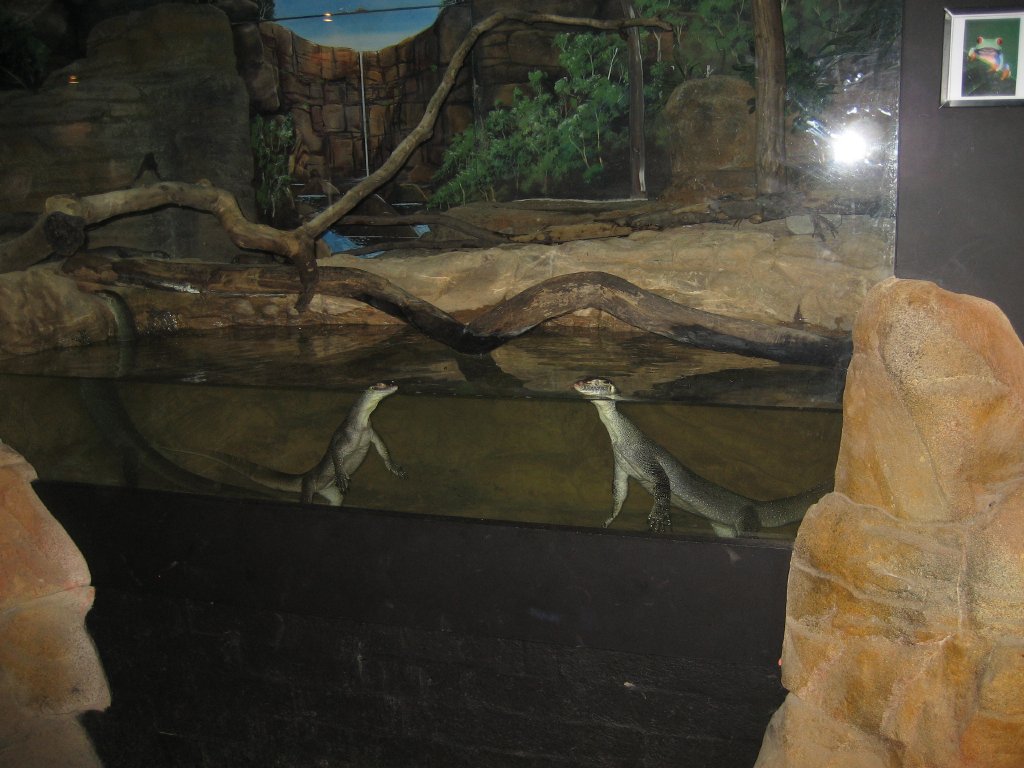 Merten's Water Monitor enclosure