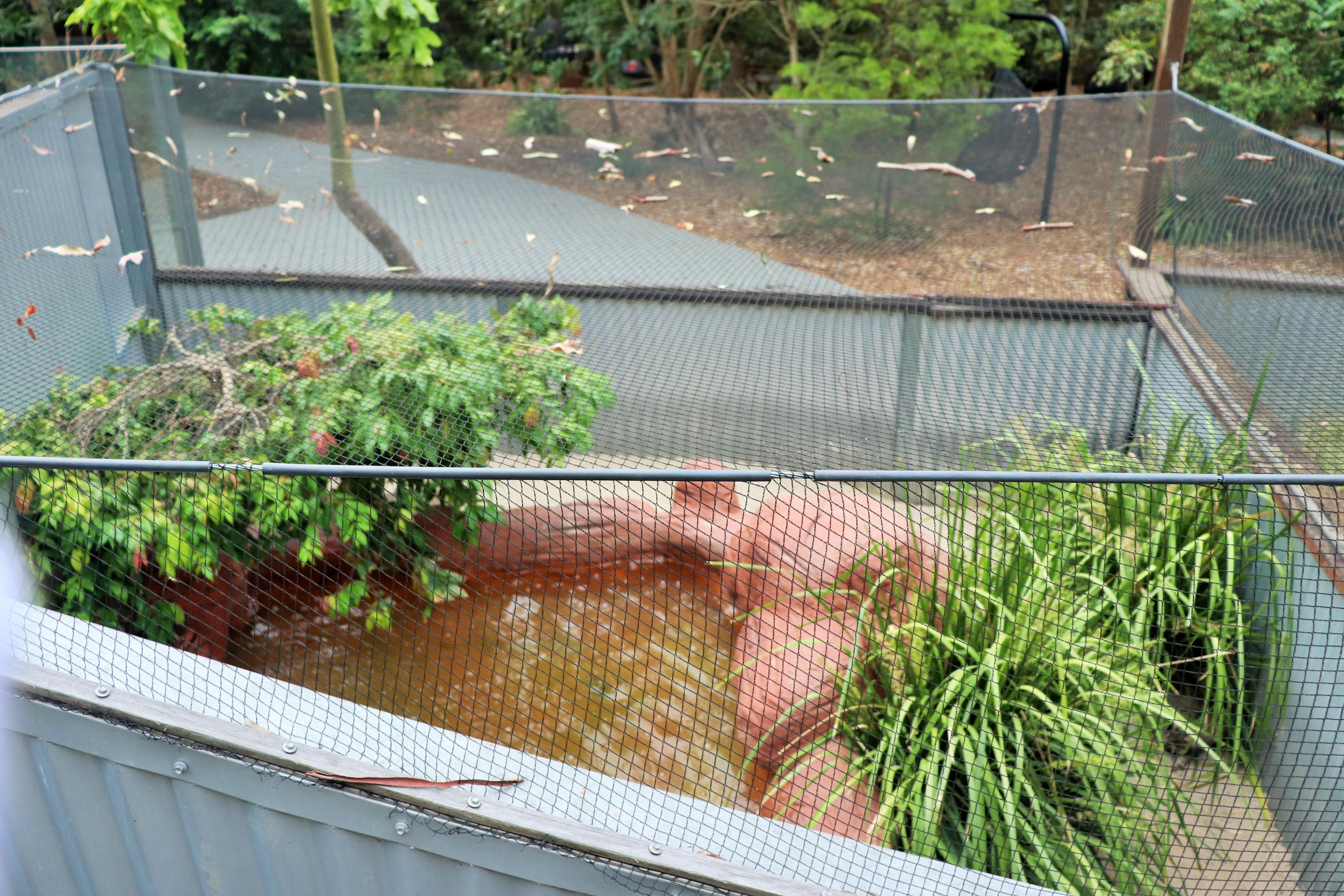 Merten's Water Monitor Enclosure