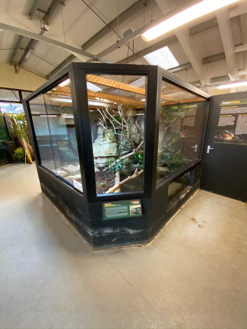 Mertens’ water monitor exhibit 231119