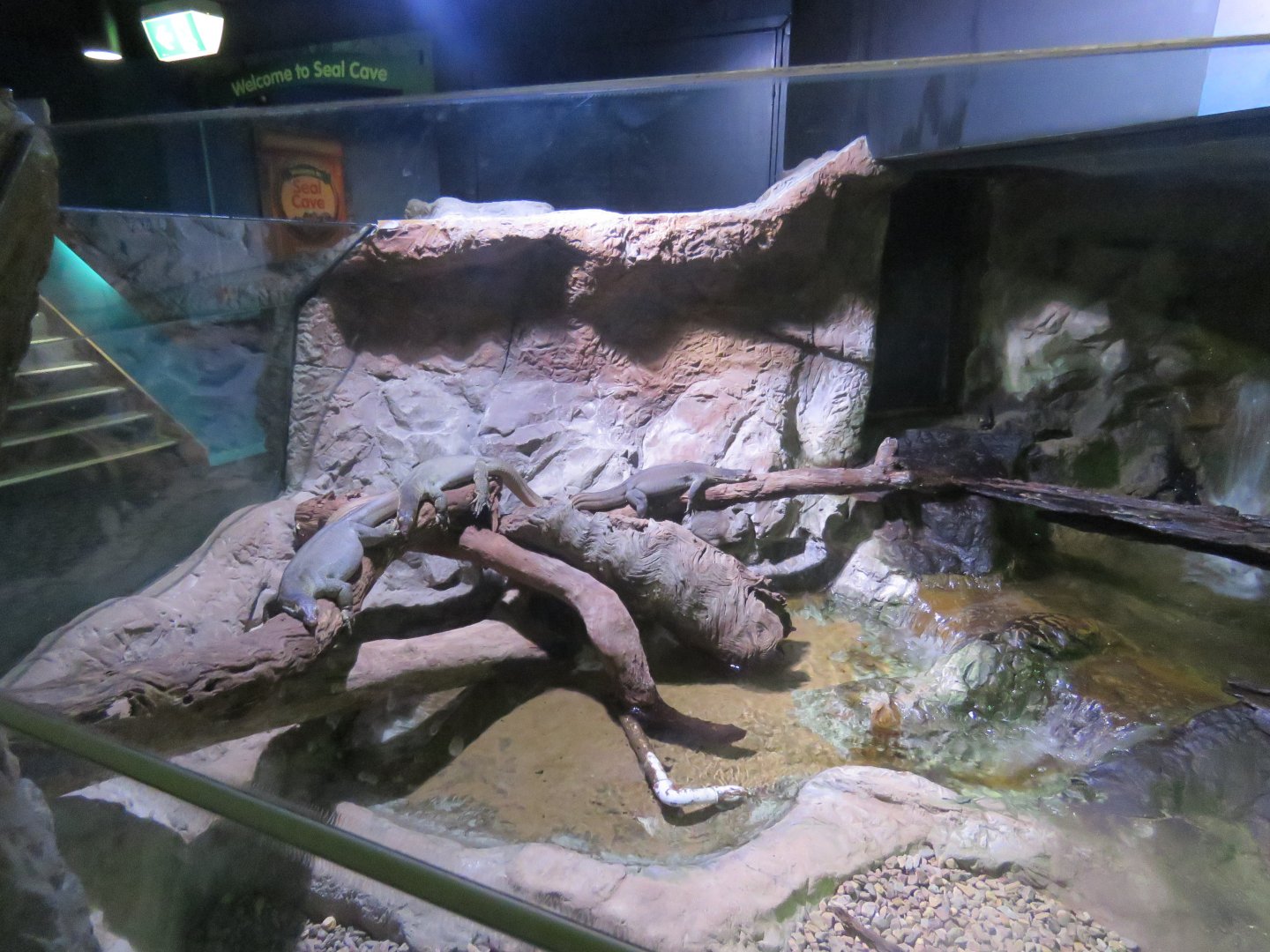 Mertens Water Monitor Exhibit