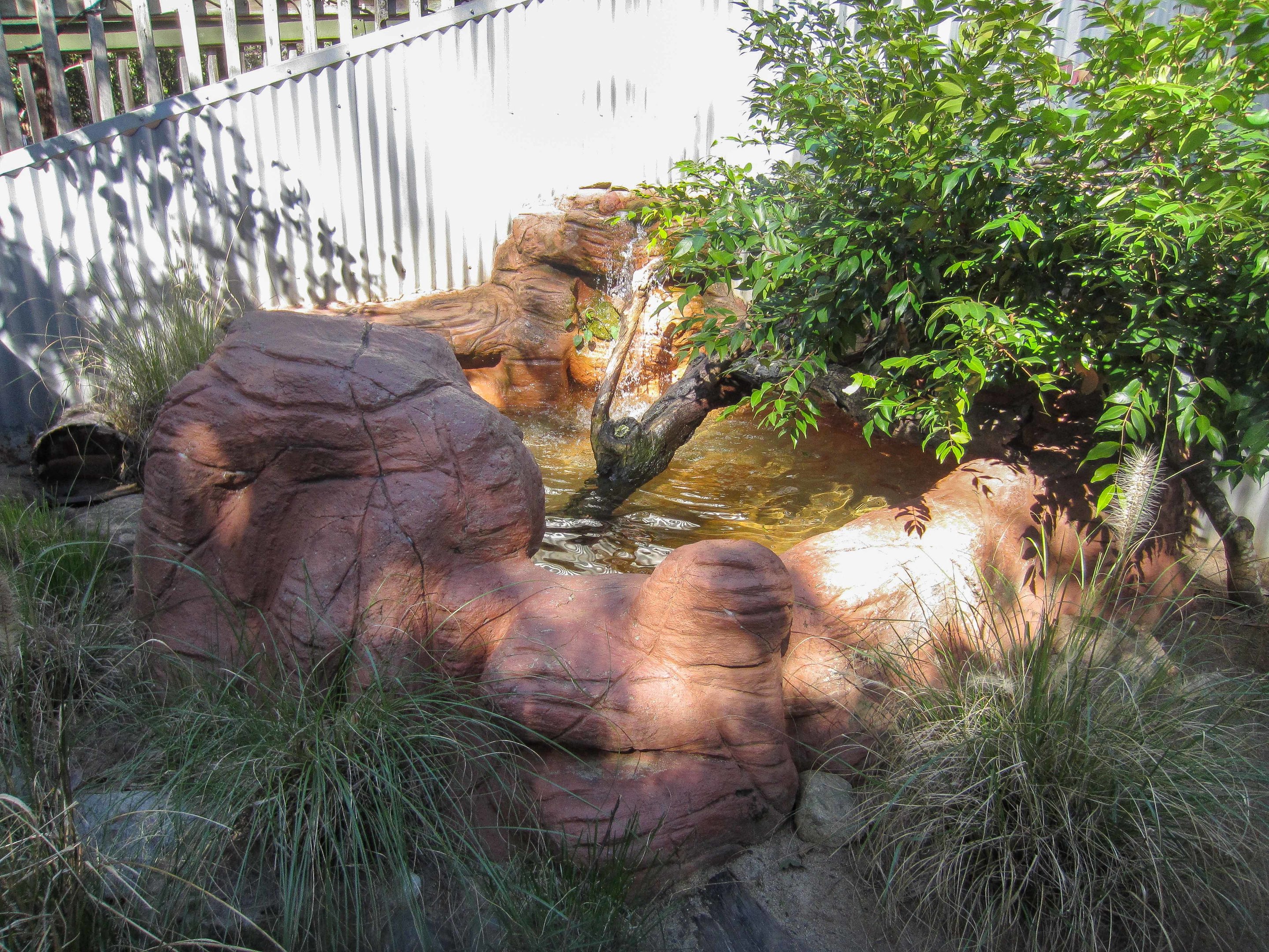 Merten's Water Monitor exhibit