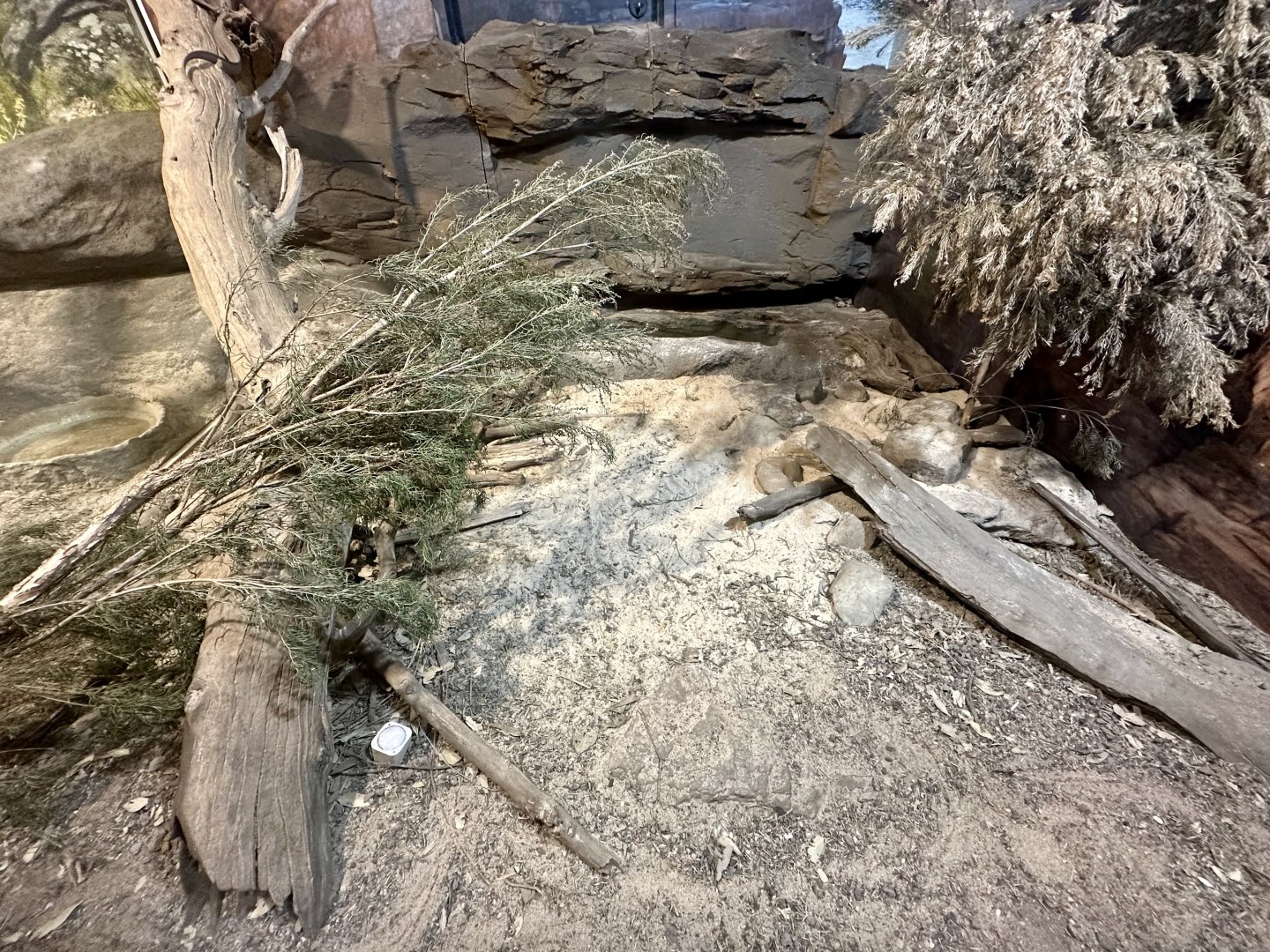 Merten’s Water Monitor Exhibit