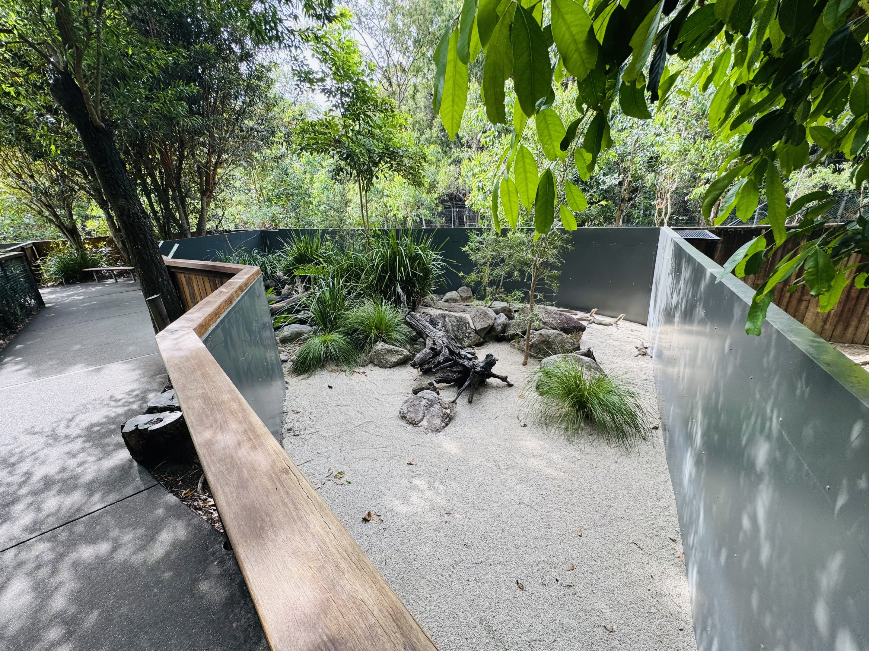Merten’s Water Monitor/Jardine River Turtle enclosure