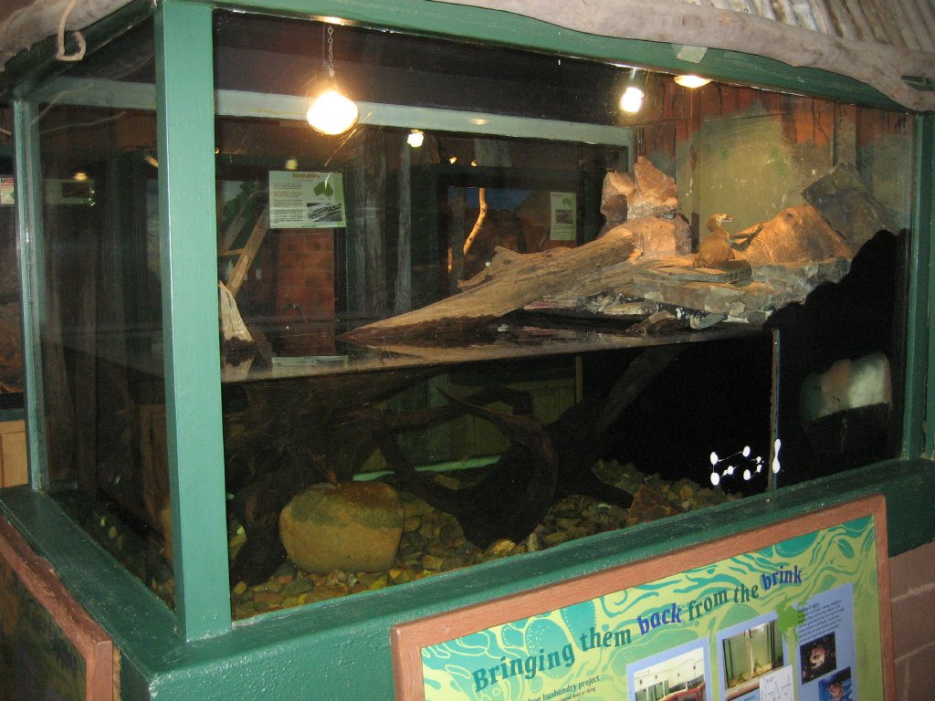 Mertens Water Monitor tank