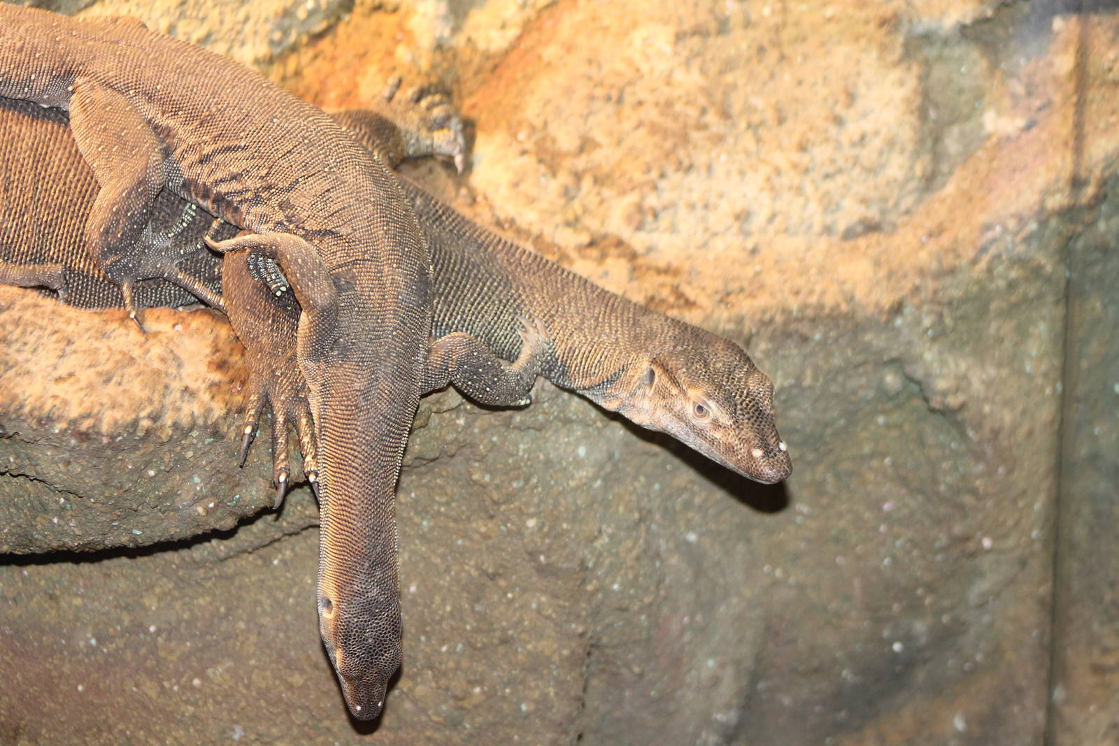 Mertens water monitor