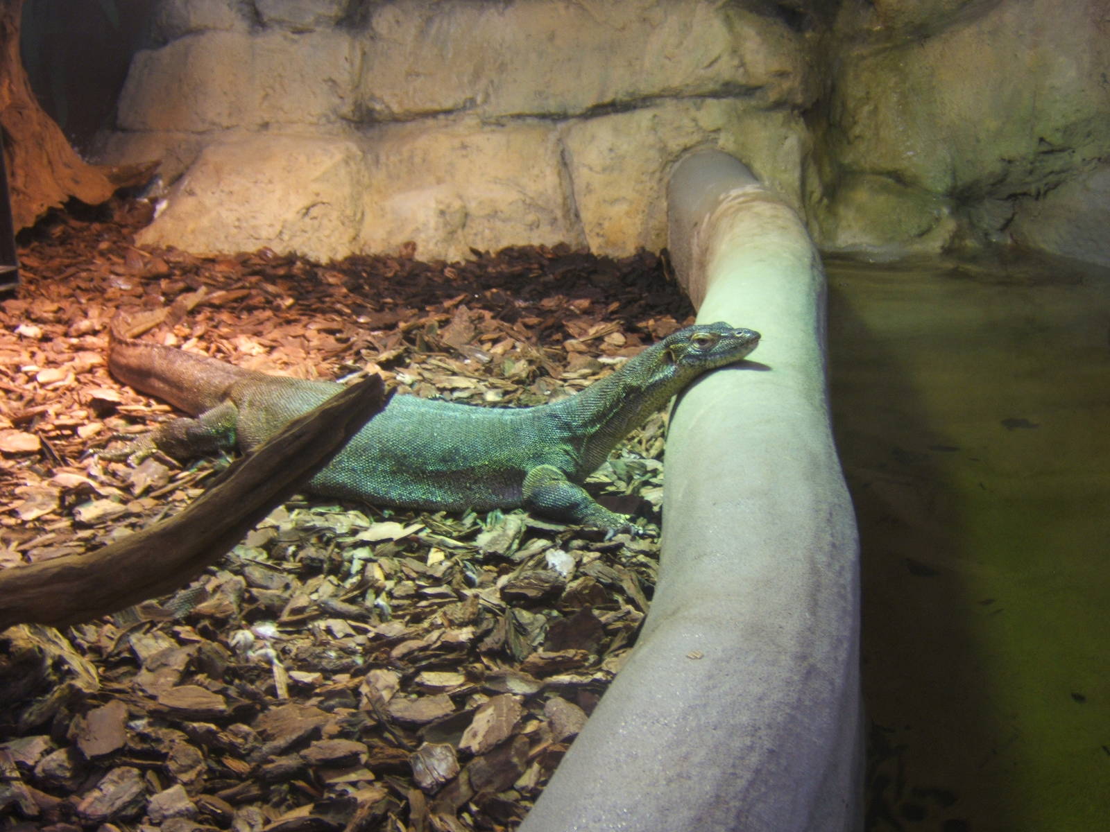 Mertens Water Monitor