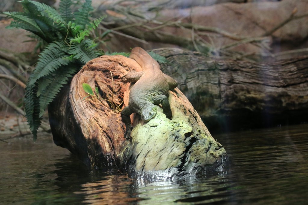 Mertens Water Monitor