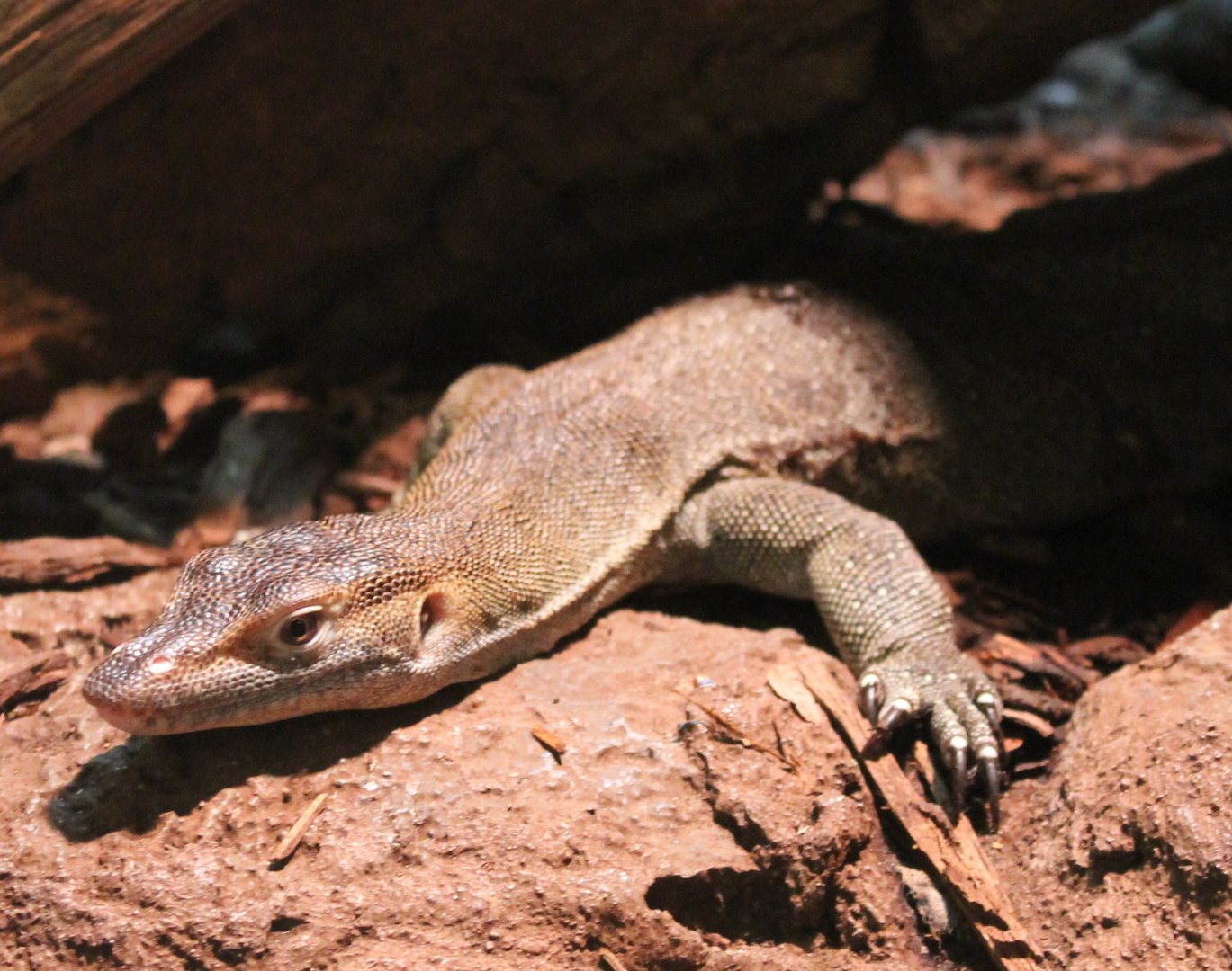 Mertens Water Monitor