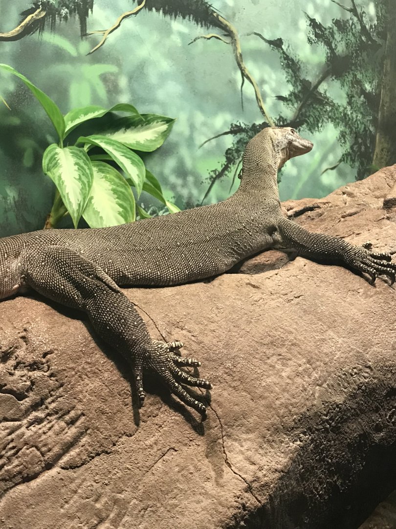 Mertens water monitor