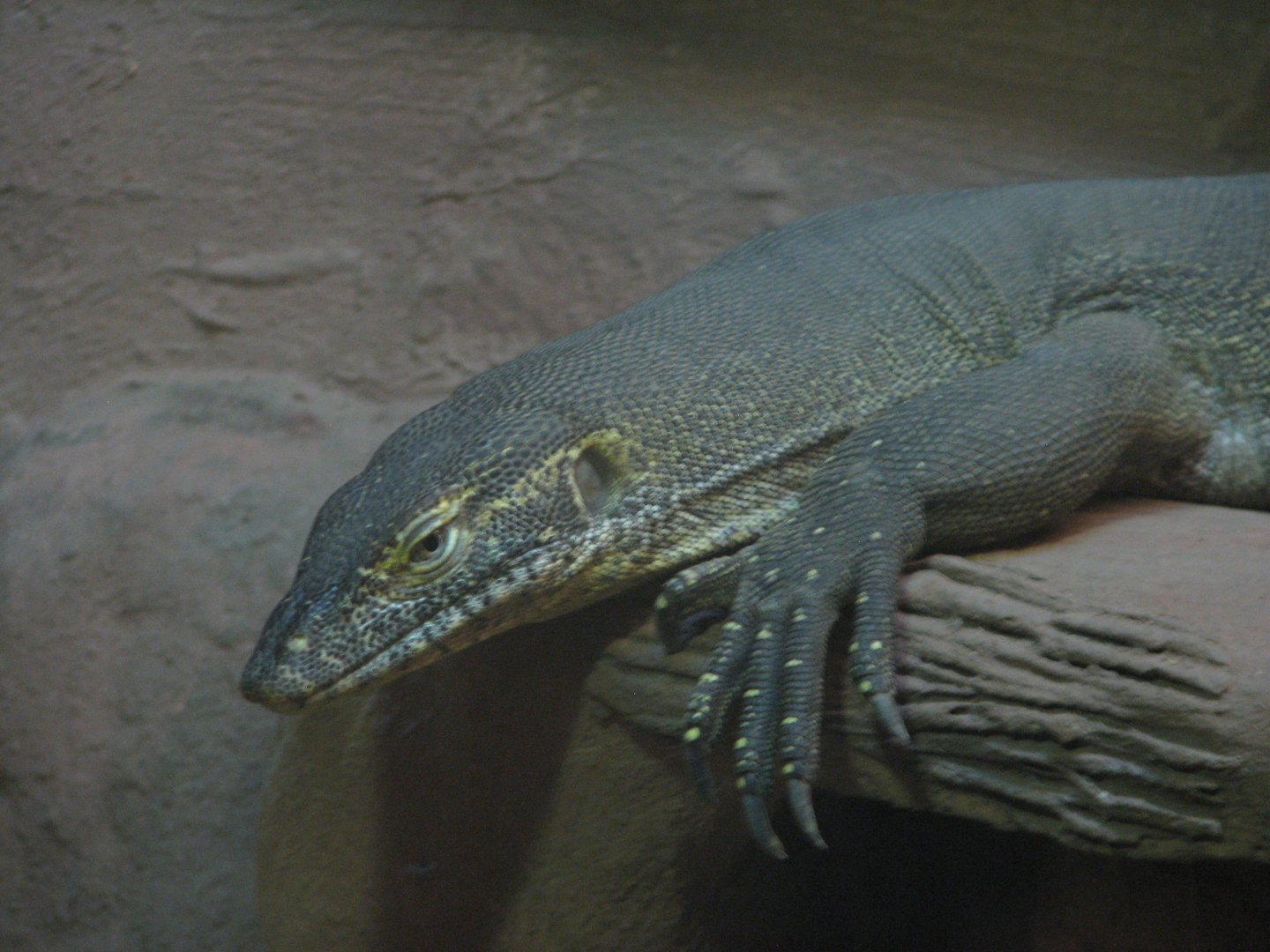Mertens water monitor