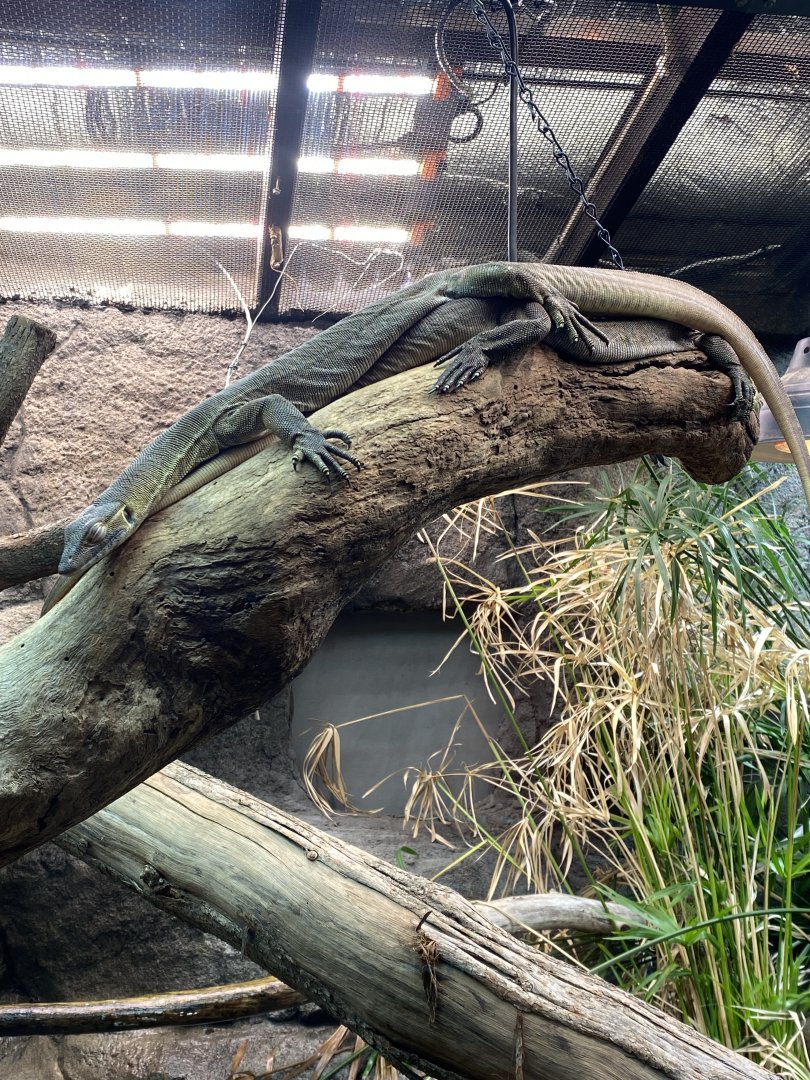 Mertens Water Monitor