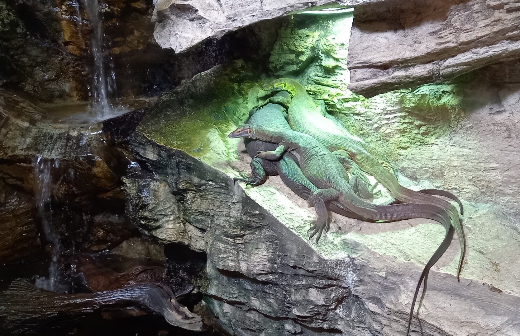 Mertens water monitors