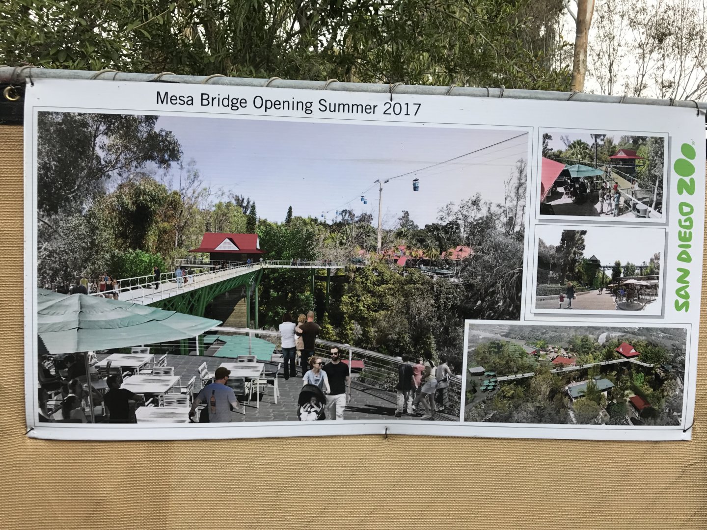 Mesa Bridge Concept 1