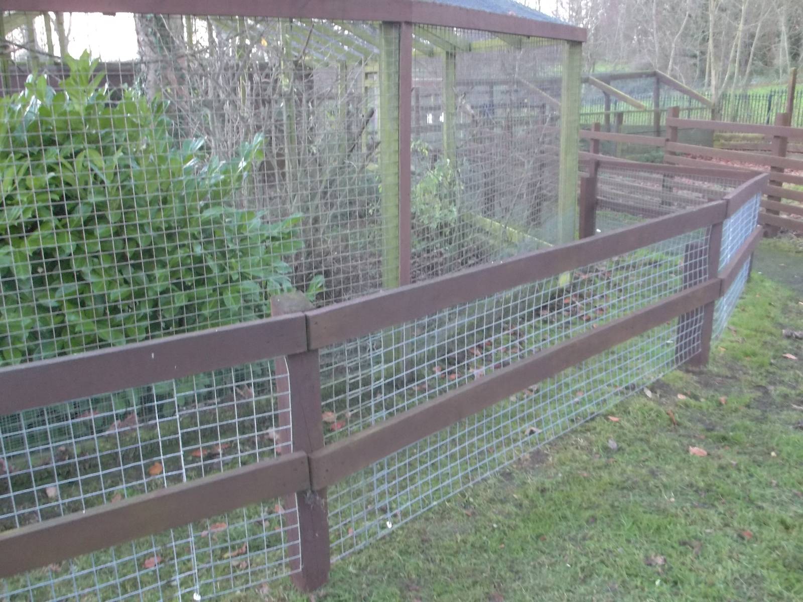 Mesh added to fencing around capuchin exhibit, 7th December 2014