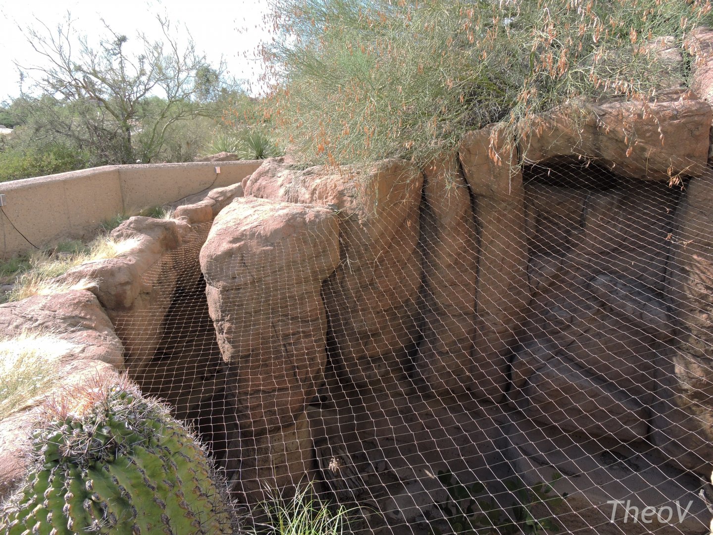 Mesh over the ocelot exhibit [2015]