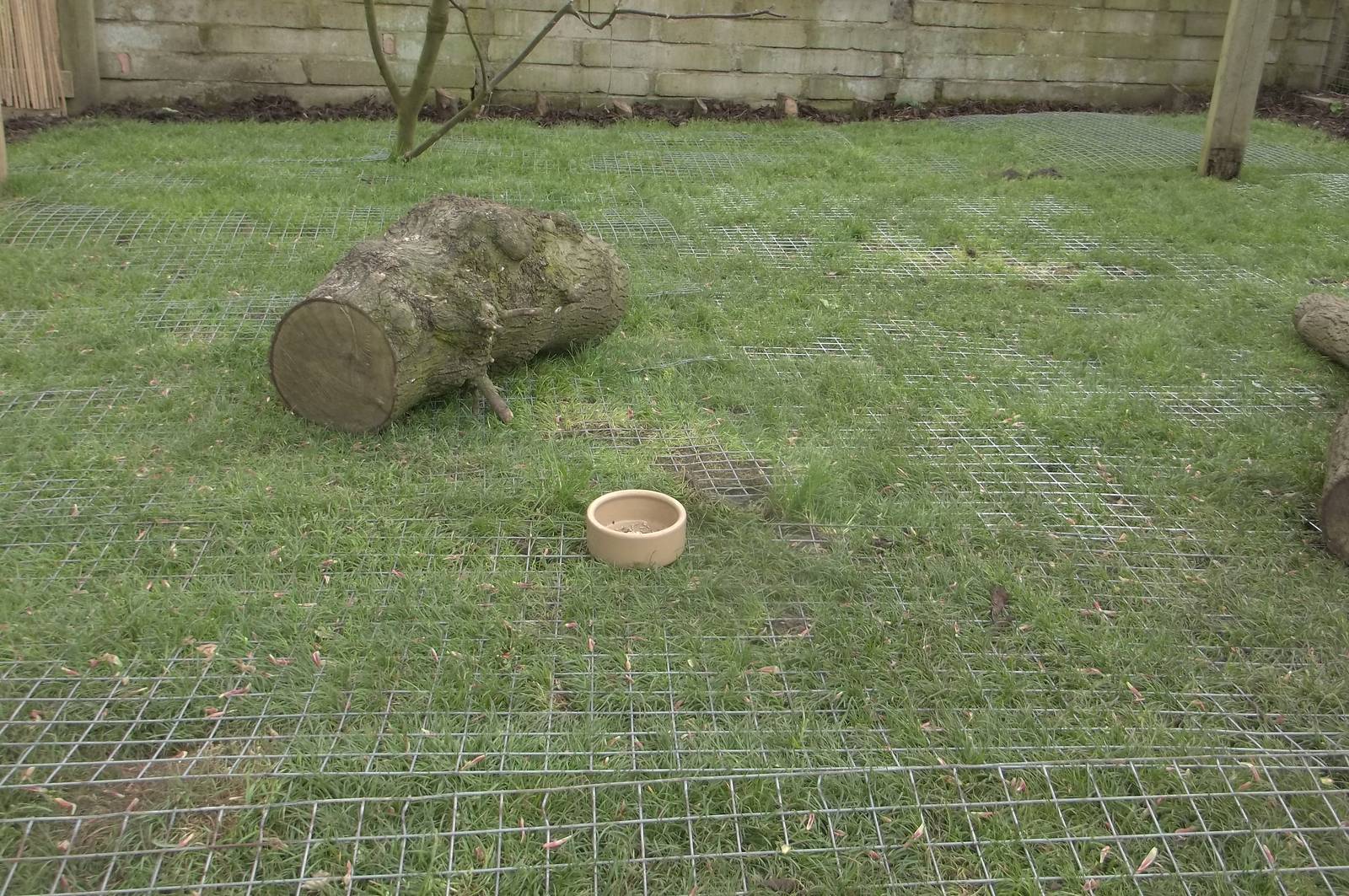 Mesh to foil Coati excavations, 21st May 2016