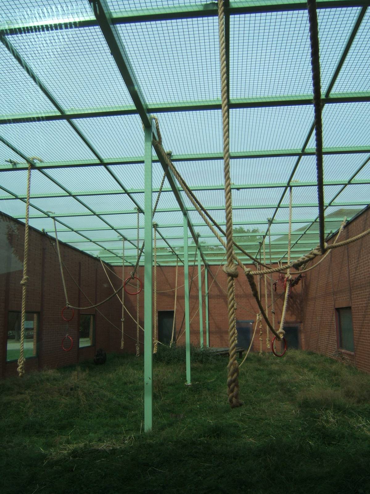 Meshed of Chimp enclosure