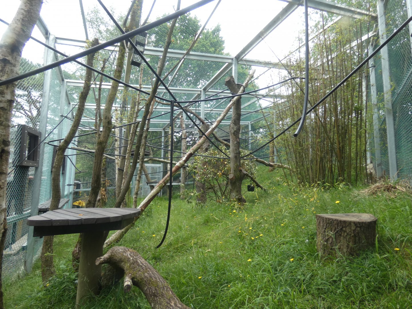 Meshed Woolly monkey enclosure