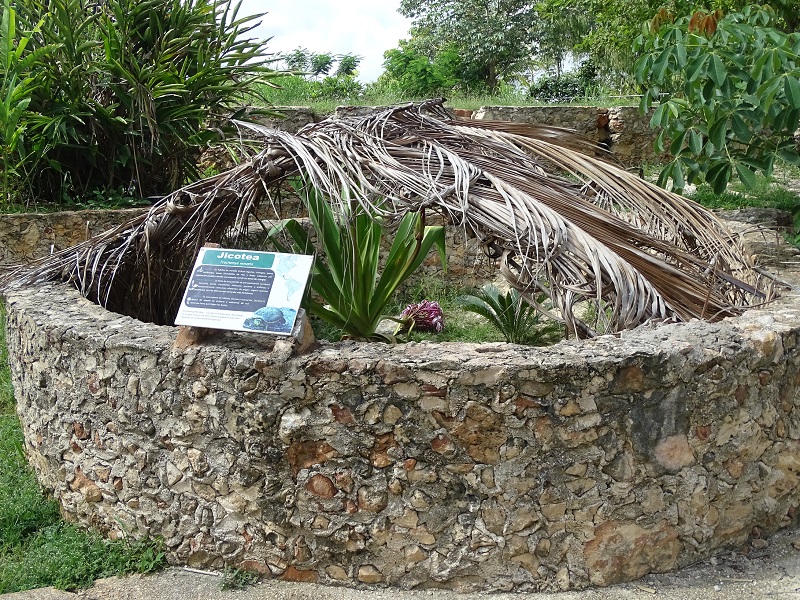 Meso-American slider enclosure