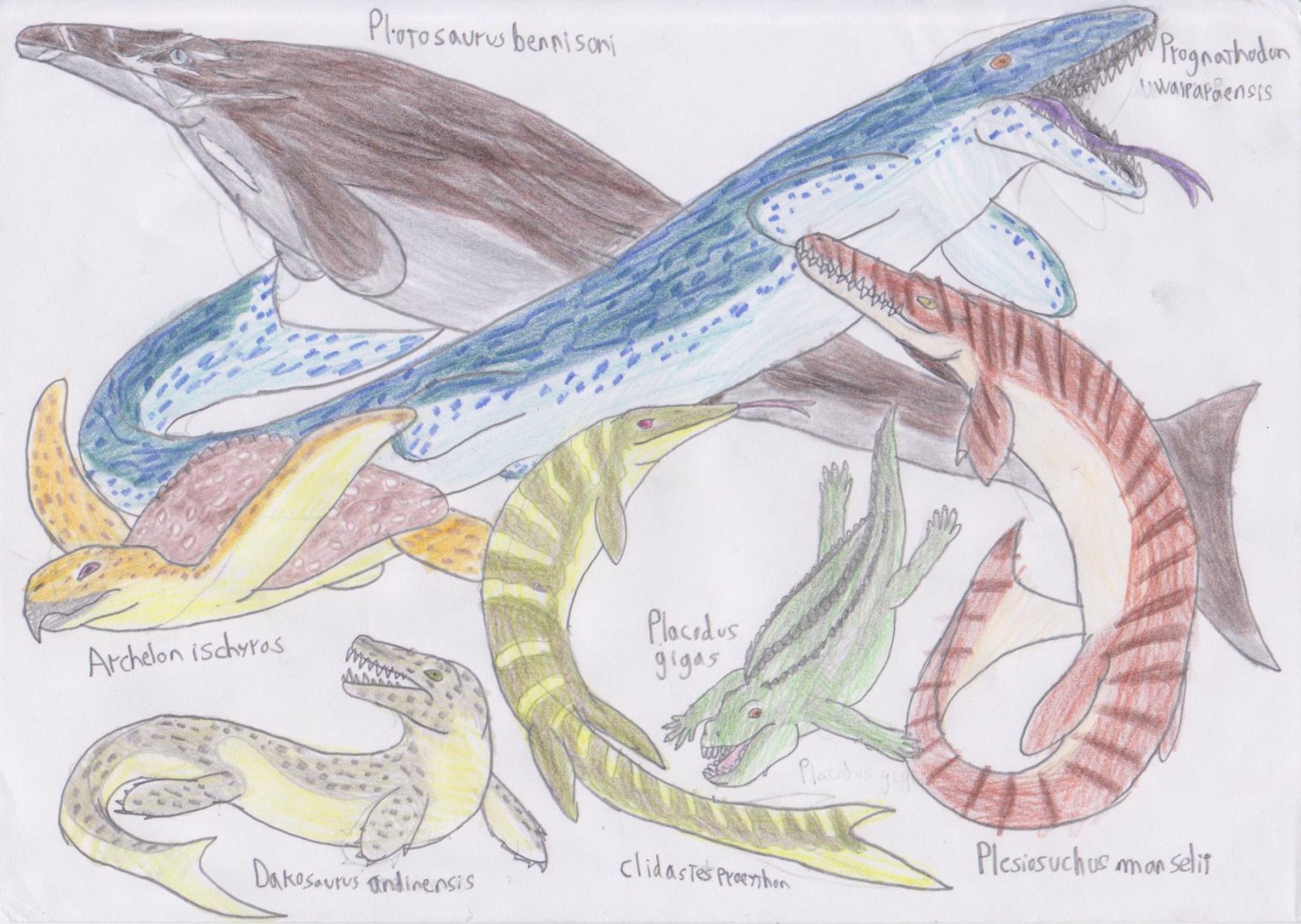 Meso-posters: assortment of marine reptiles