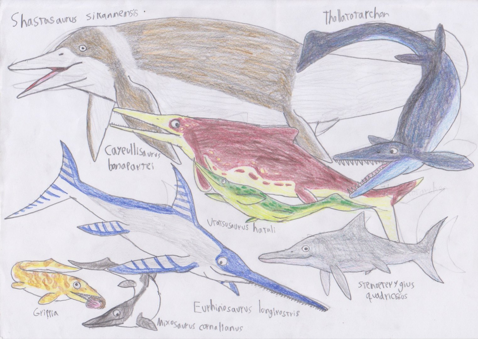 Meso-posters: Ichthyosauria