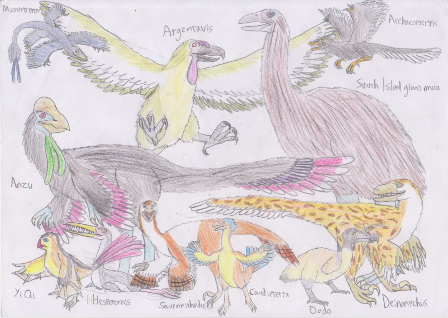 Meso-posters: Maniraptora