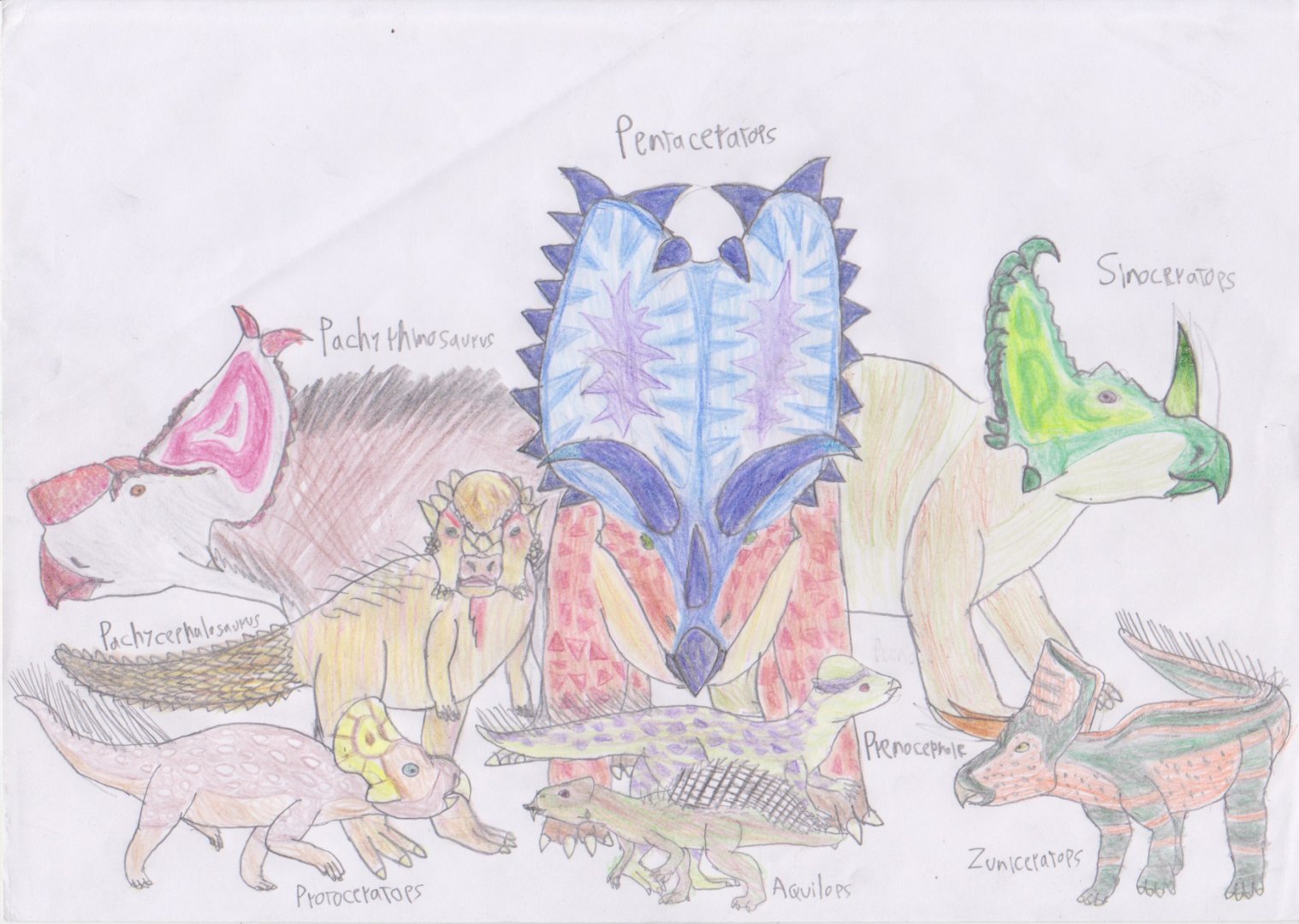 Meso-posters: Marginocephalia