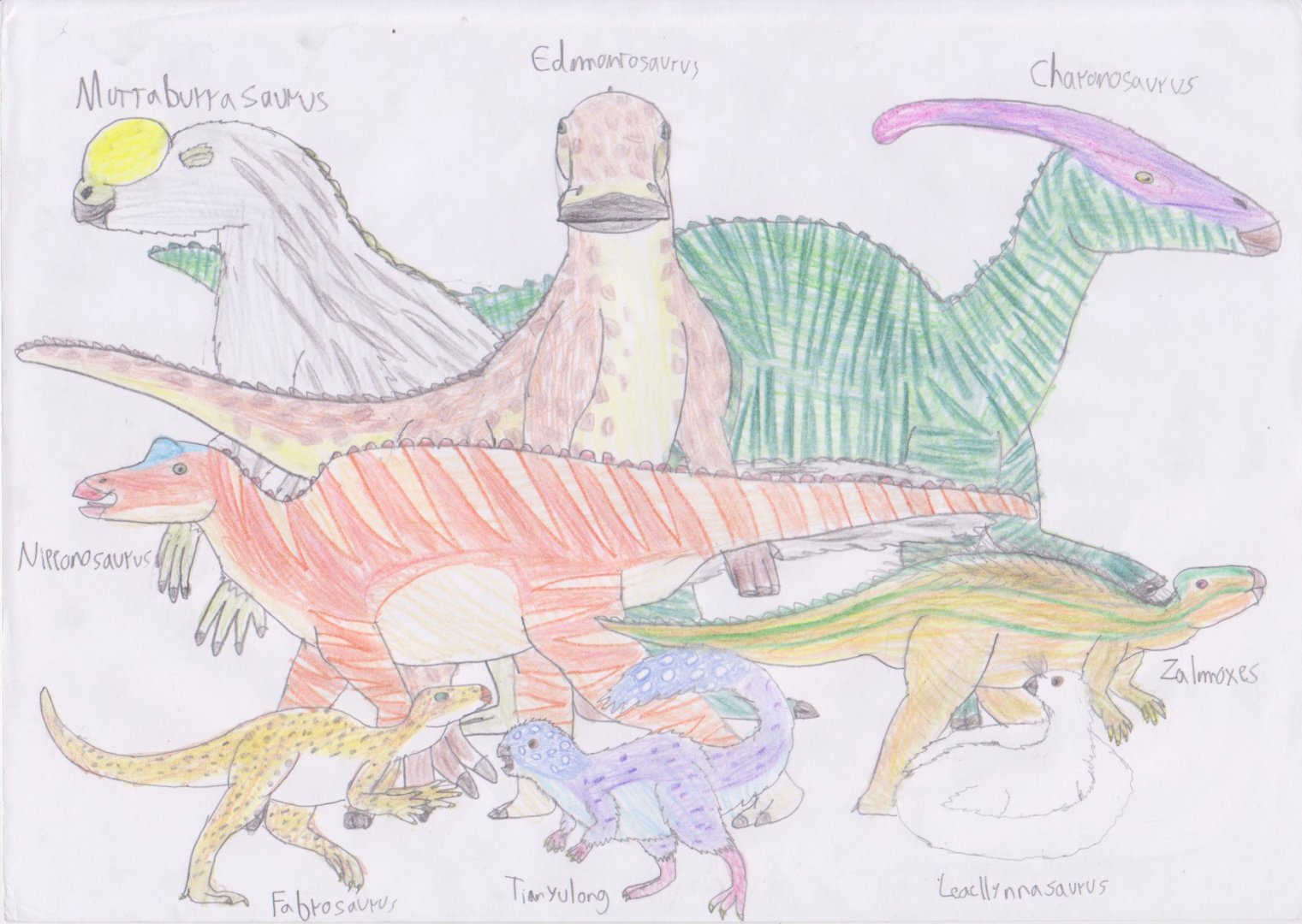 Meso-Posters: Ornithopoda