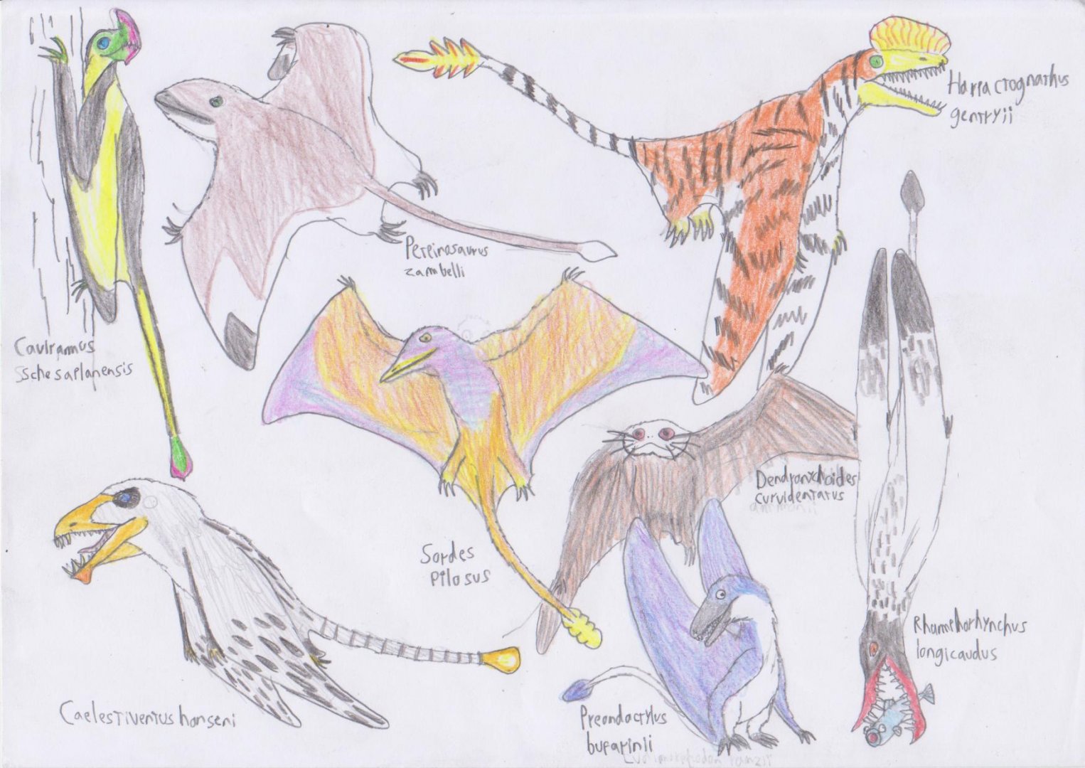 Meso-Posters: Rhamphorhynchoids