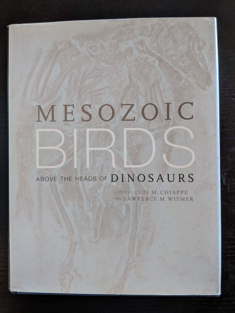 Mesozoic Birds  Above the heads of Dinosaurs