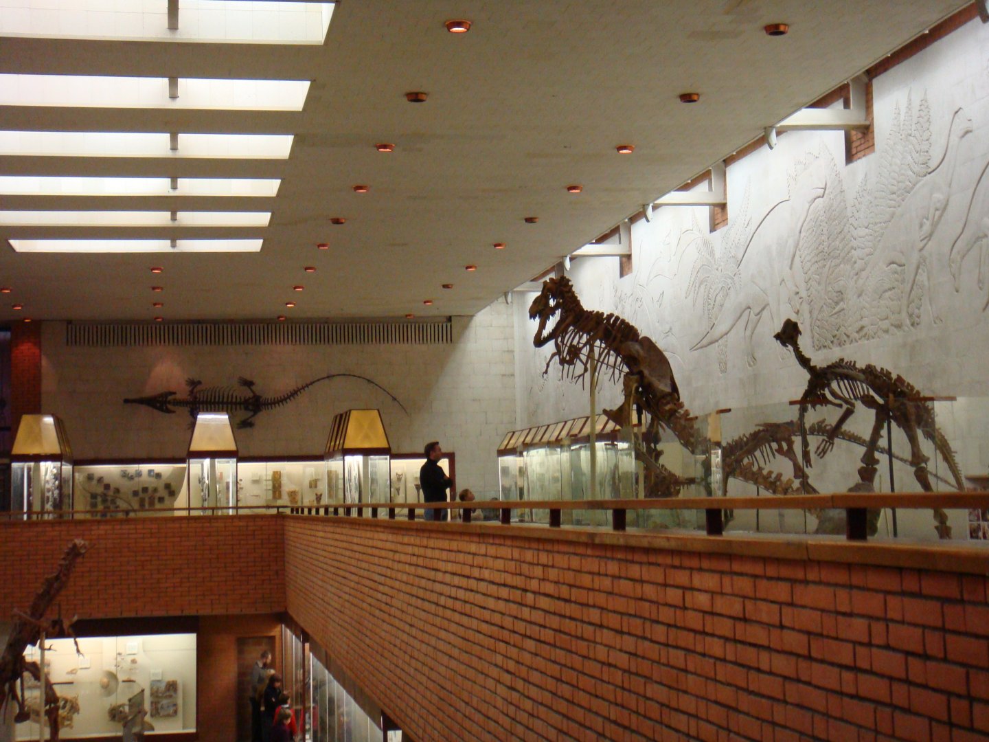 Mesozoic hall
