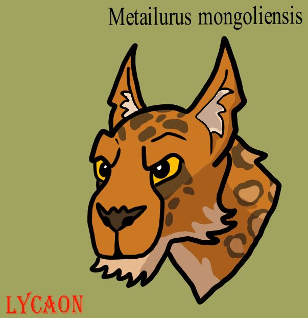 Metailurus mongoliensis