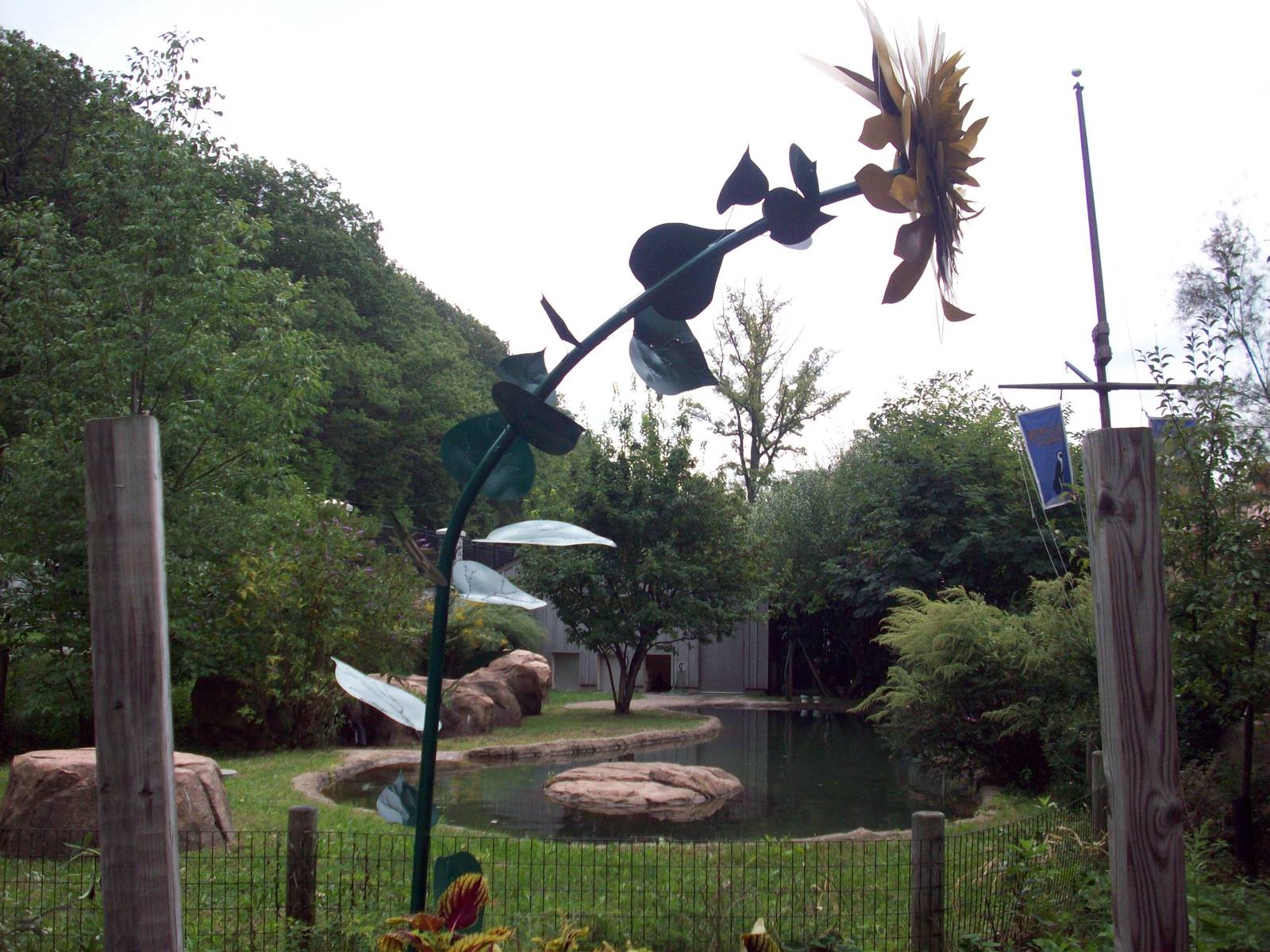 Metal Sunflower in front of Penguin Exhibit