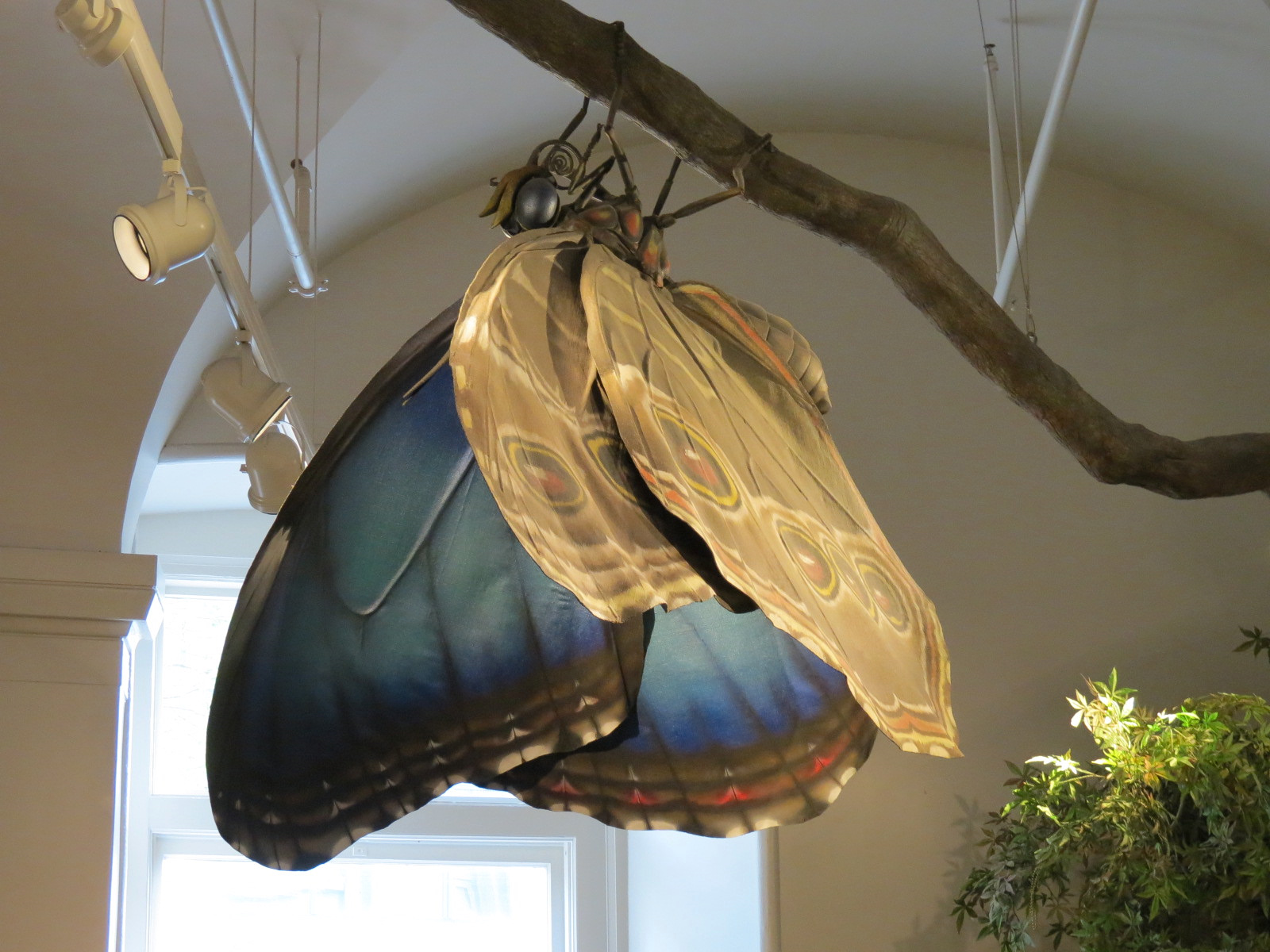 Metamorphosis - Butterfly Sculpture