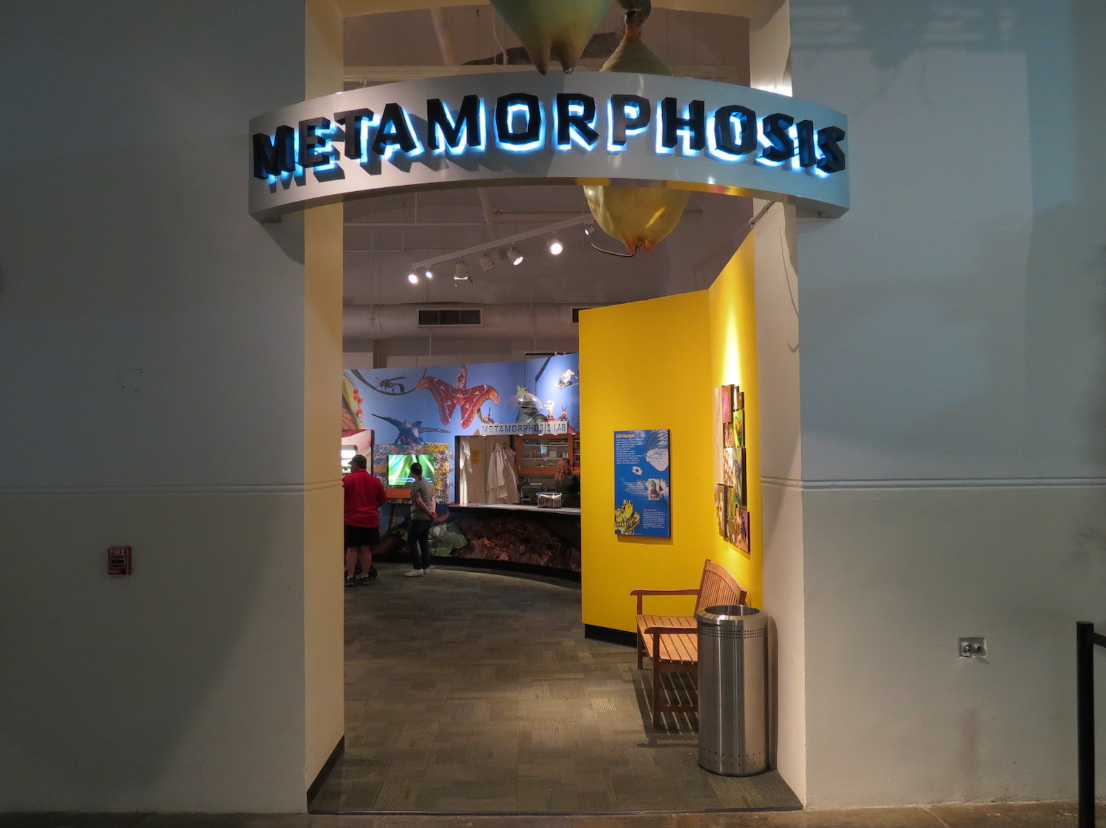 Metamorphosis - Entrance