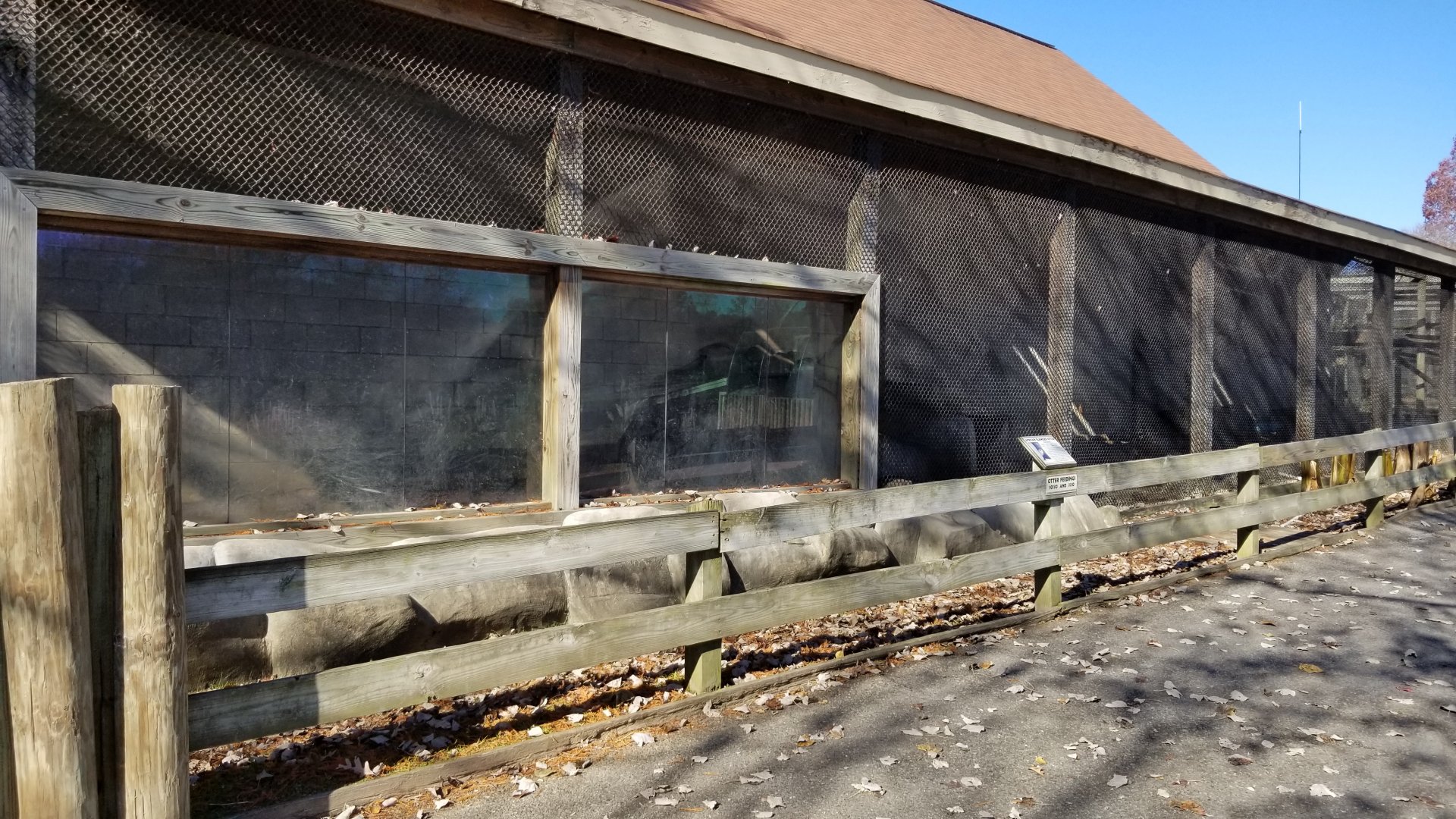 Metro Richmond - African Clawless Otters