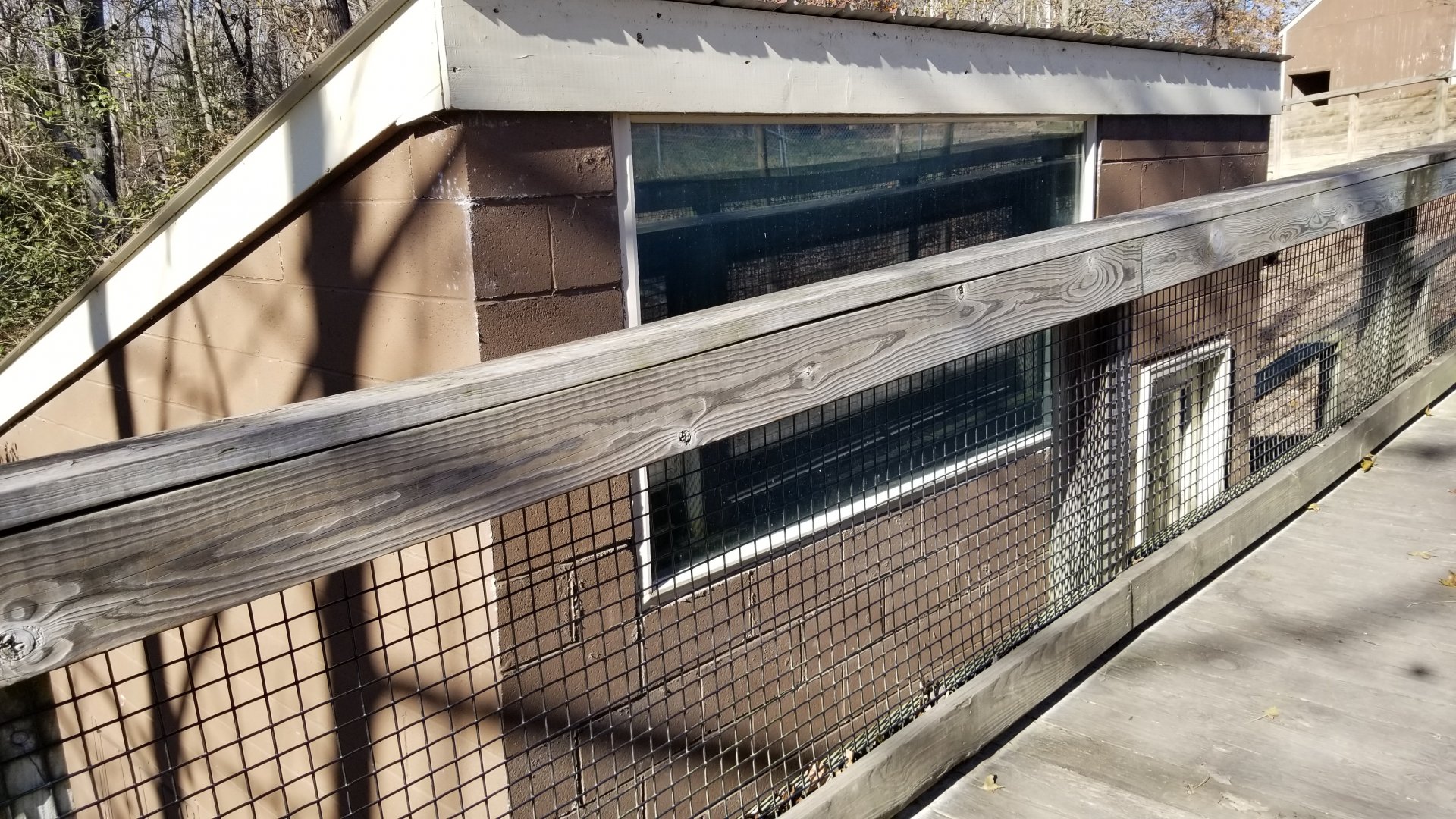 Metro Richmond - American Alligator viewing window (you can't see in)