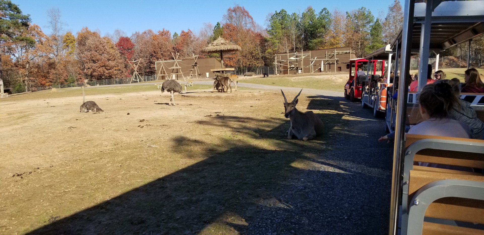 Metro Richmond - Eland, Waterbuck, Ostrich, etc