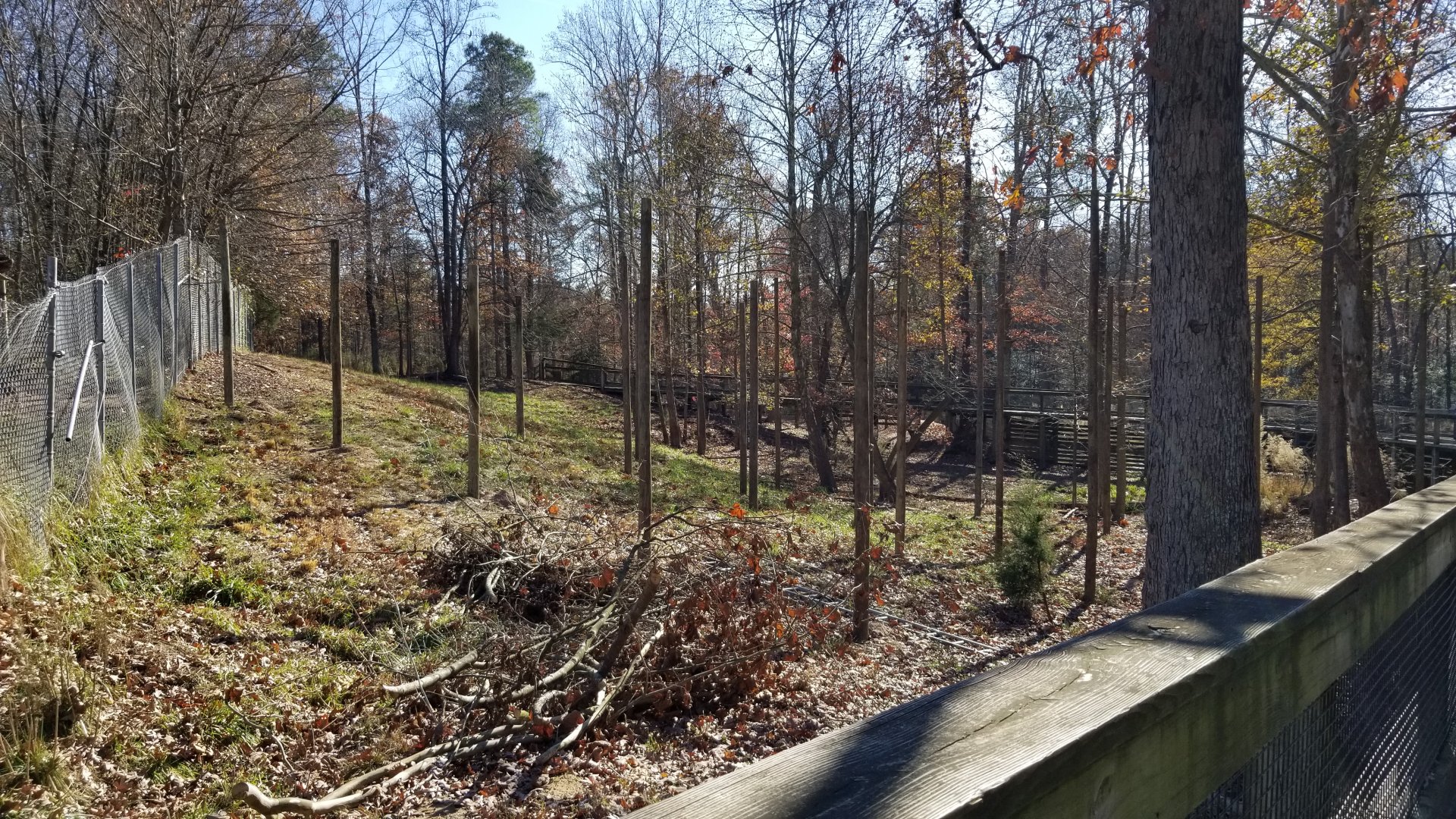 Metro Richmond - former white-tailed deer exhibit