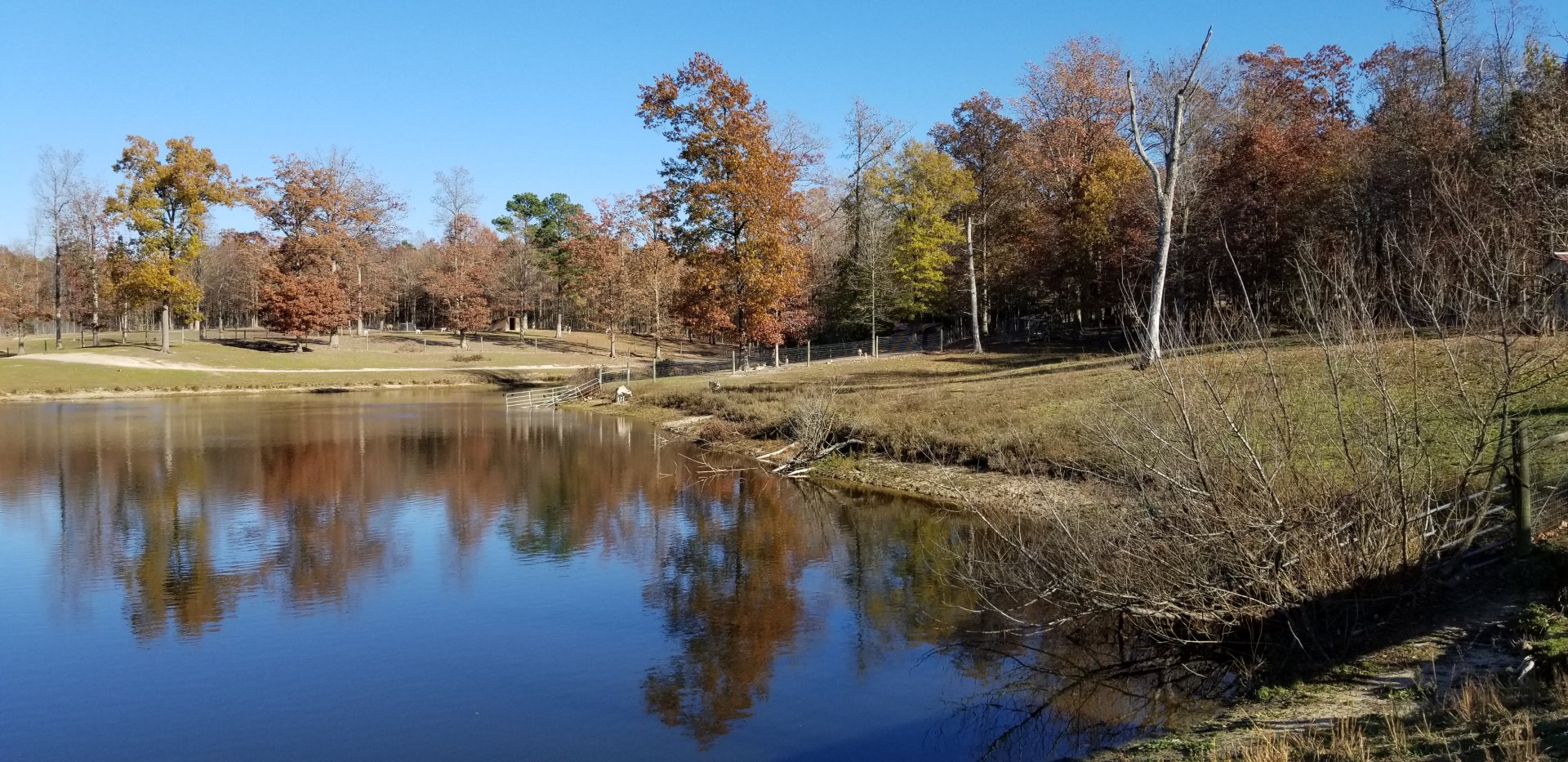 Metro Richmond - Gemsbok, with private enclosures visible far off