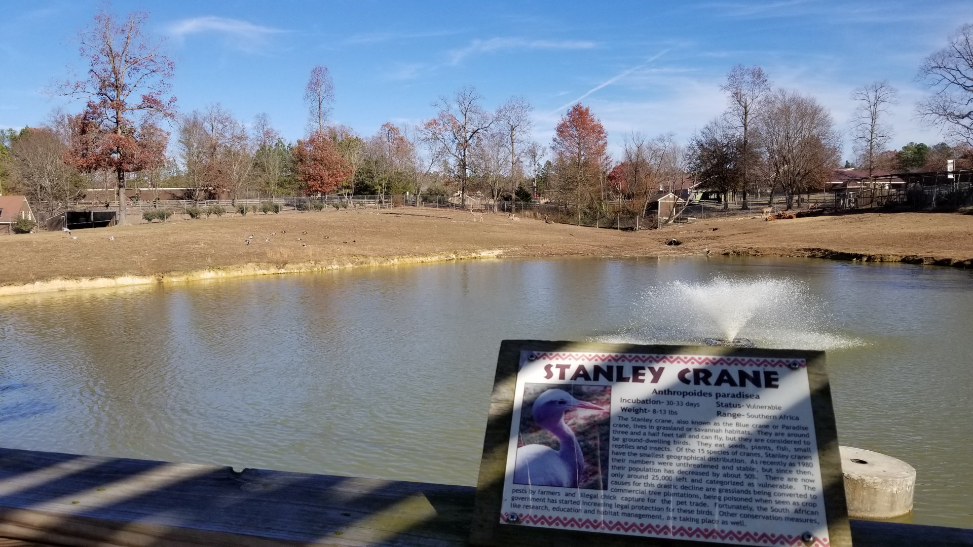 Metro Richmond - Kudu/Bongo/Giraffe yard