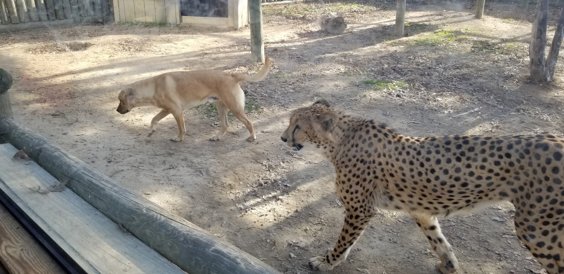 Metro Richmond - Kumbali and Kago