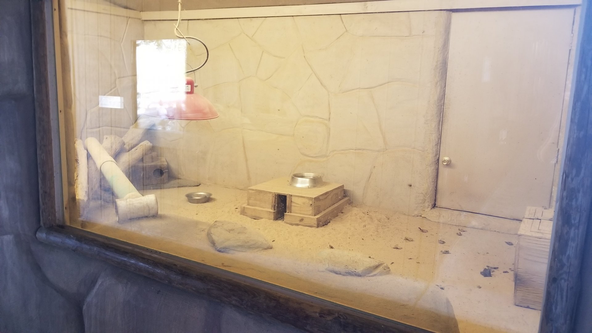 Metro Richmond - Meerkats indoor area