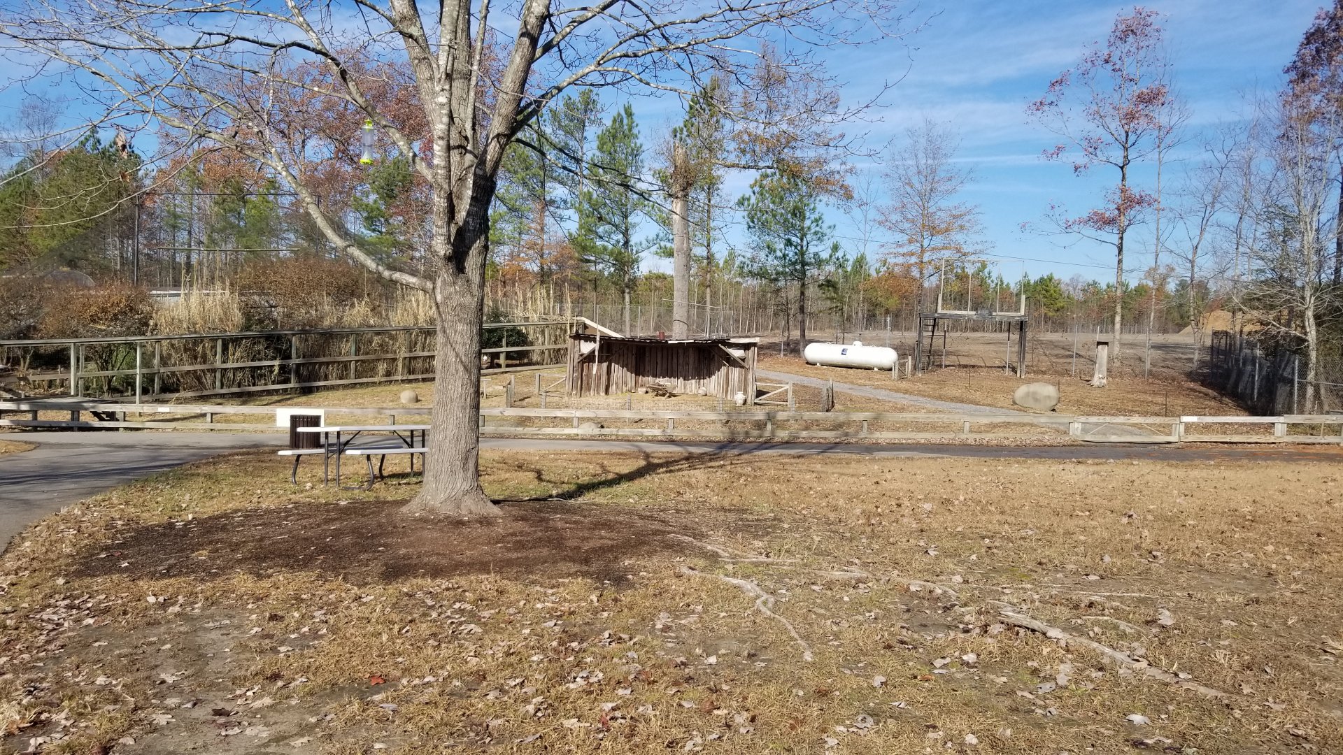 Metro Richmond - Miracle of Christmas area