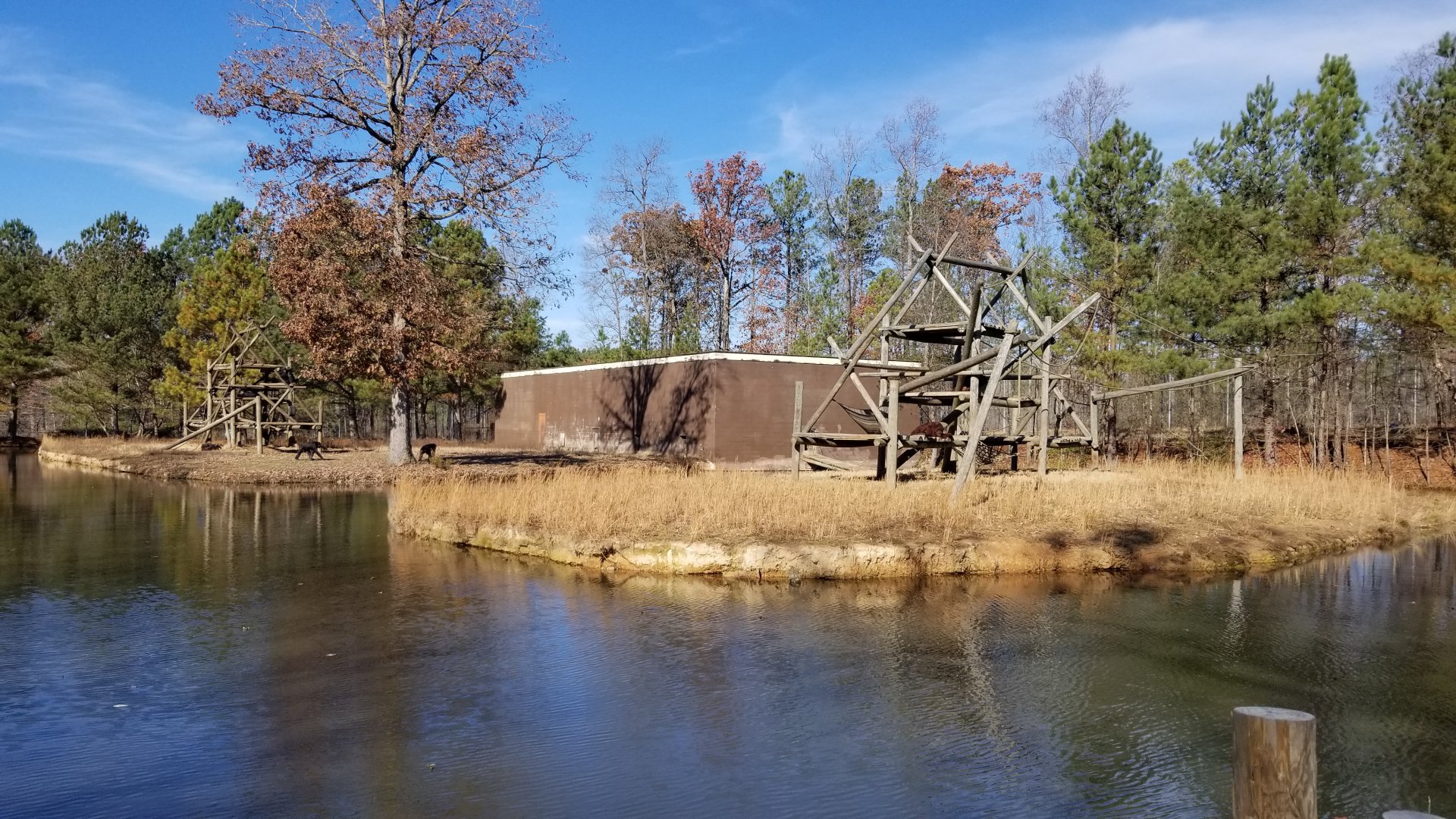 Metro Richmond - Orangutan island