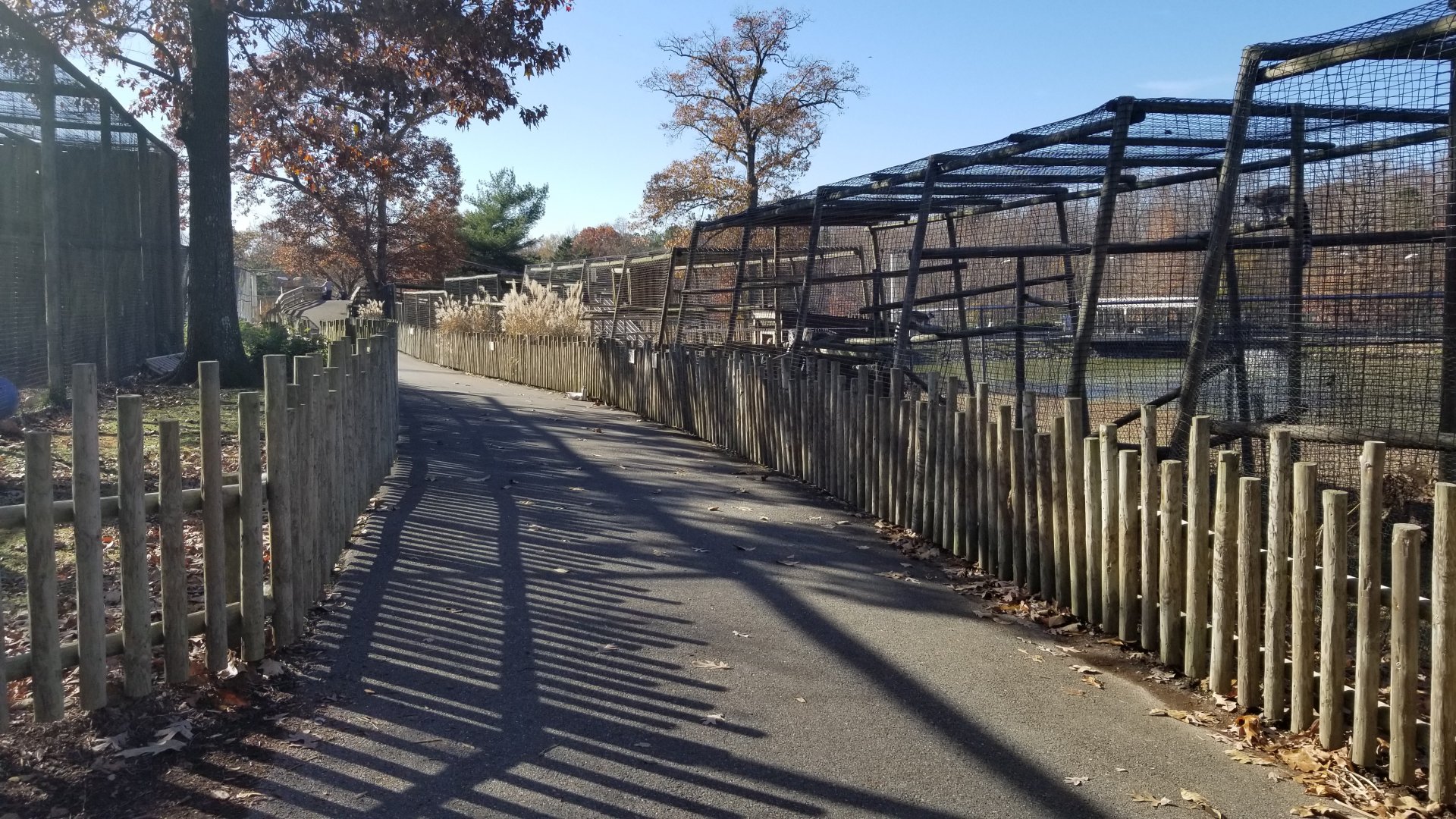 Metro Richmond - path between primates