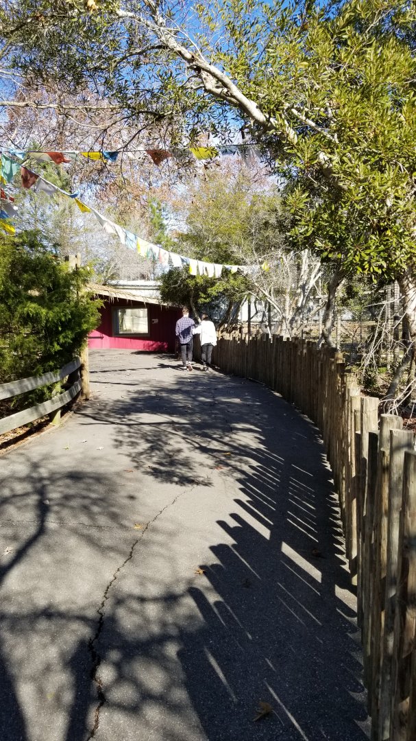 Metro Richmond - Path to bears and tigers