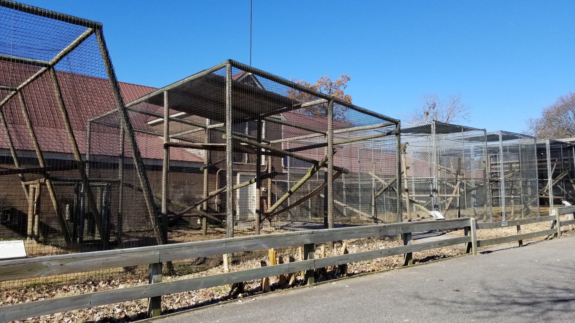 Metro Richmond - primate exhibits next to otters