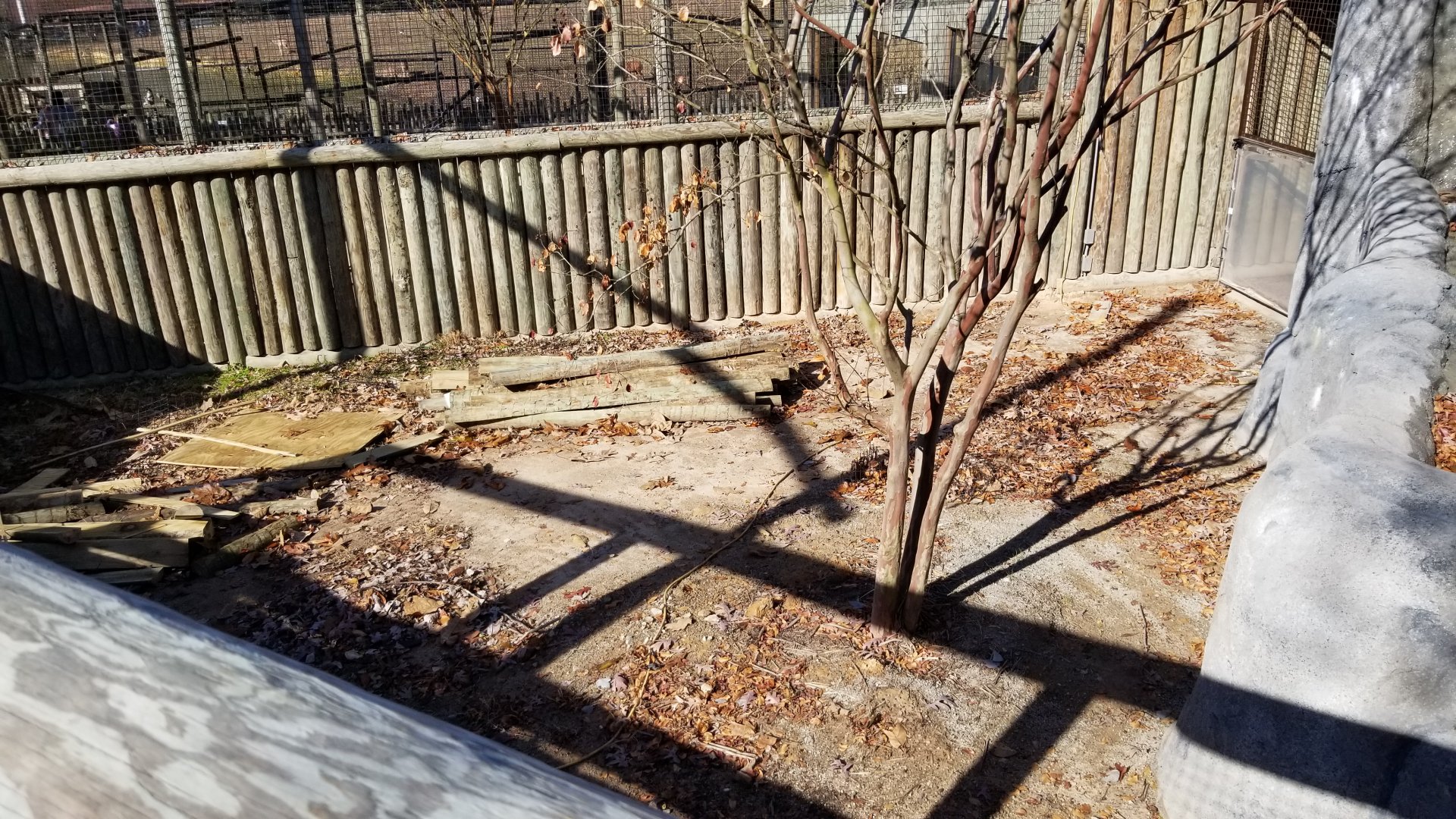 Metro Richmond - Pygmy hippos, area next to big pool